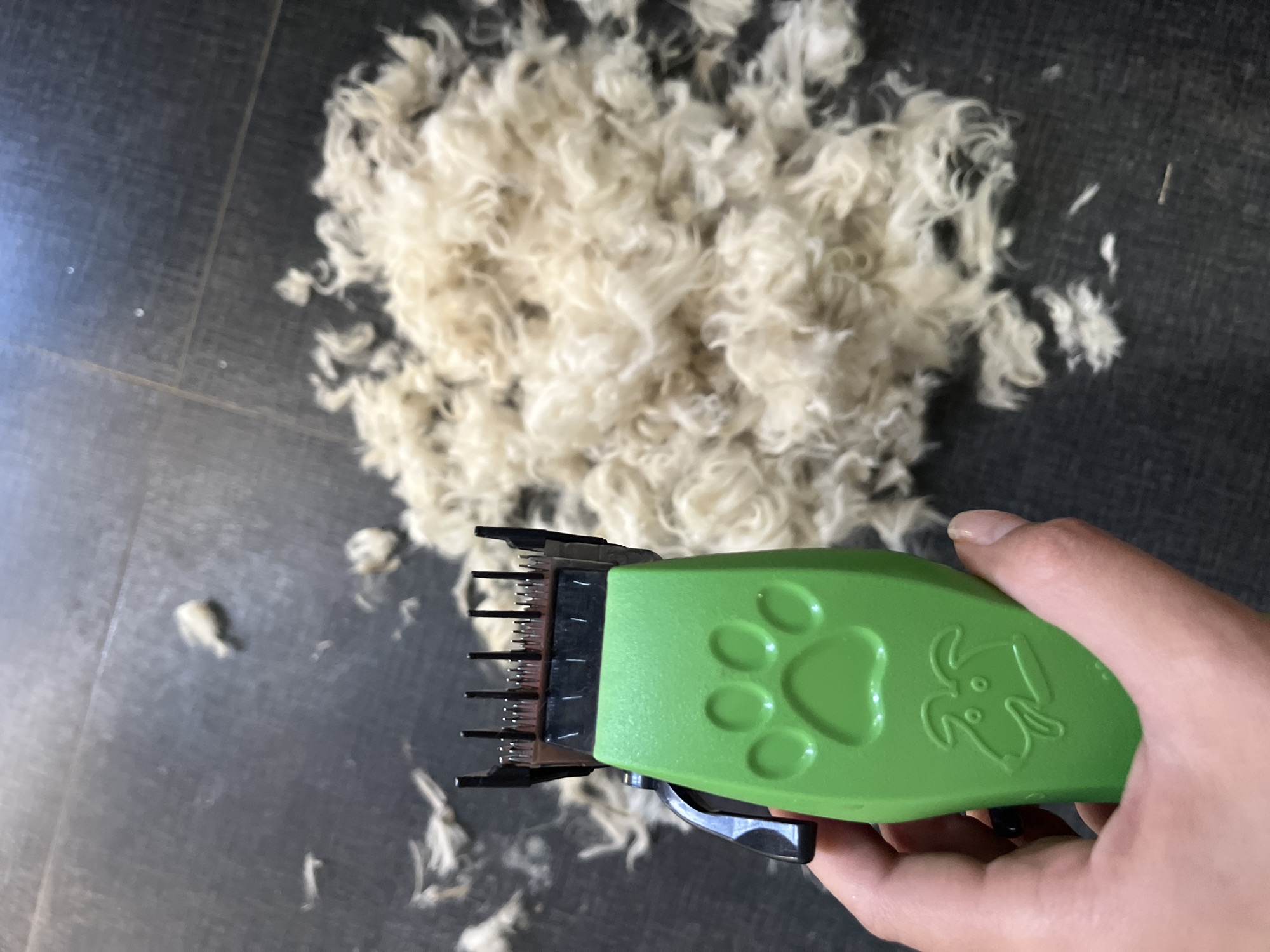A hand holds a bright green dog grooming clipper with a paw print and a dog's face embossed on it. The clipper head, a metal comb with blades, is positioned over a large pile of light-colored pet fur scattered on a dark, tiled floor. The fur appears to be the result of grooming. The scene is indoors, with the lighting suggesting it might be daytime. The location is not discernible from the image.