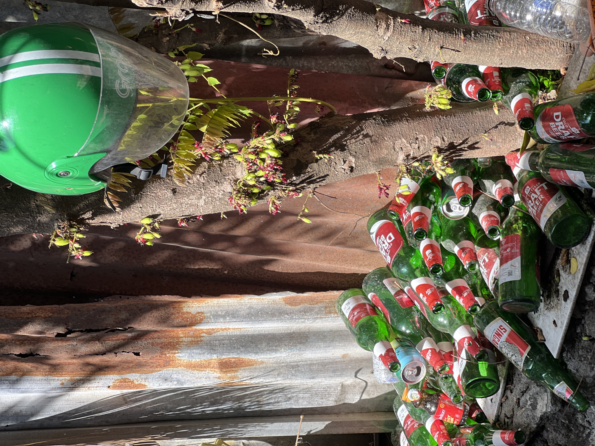 The image depicts a collection of discarded green glass bottles, some with red and white labels, and aluminum cans, piled on the ground and against a rusted corrugated metal wall. A bright green helmet with white stripes and a clear visor is visible at the top right of the frame, resting on a tree trunk. The scene appears to be outdoors, with sunlight casting shadows. The presence of the Grab helmet suggests a location associated with ride-sharing services in urban areas. Given the description of the image and common urban landscapes in Indonesia, this scene could be located in the city of Denpasar, Indonesia, likely in an alleyway, a service area, or a place where discarded items are accumulated.
