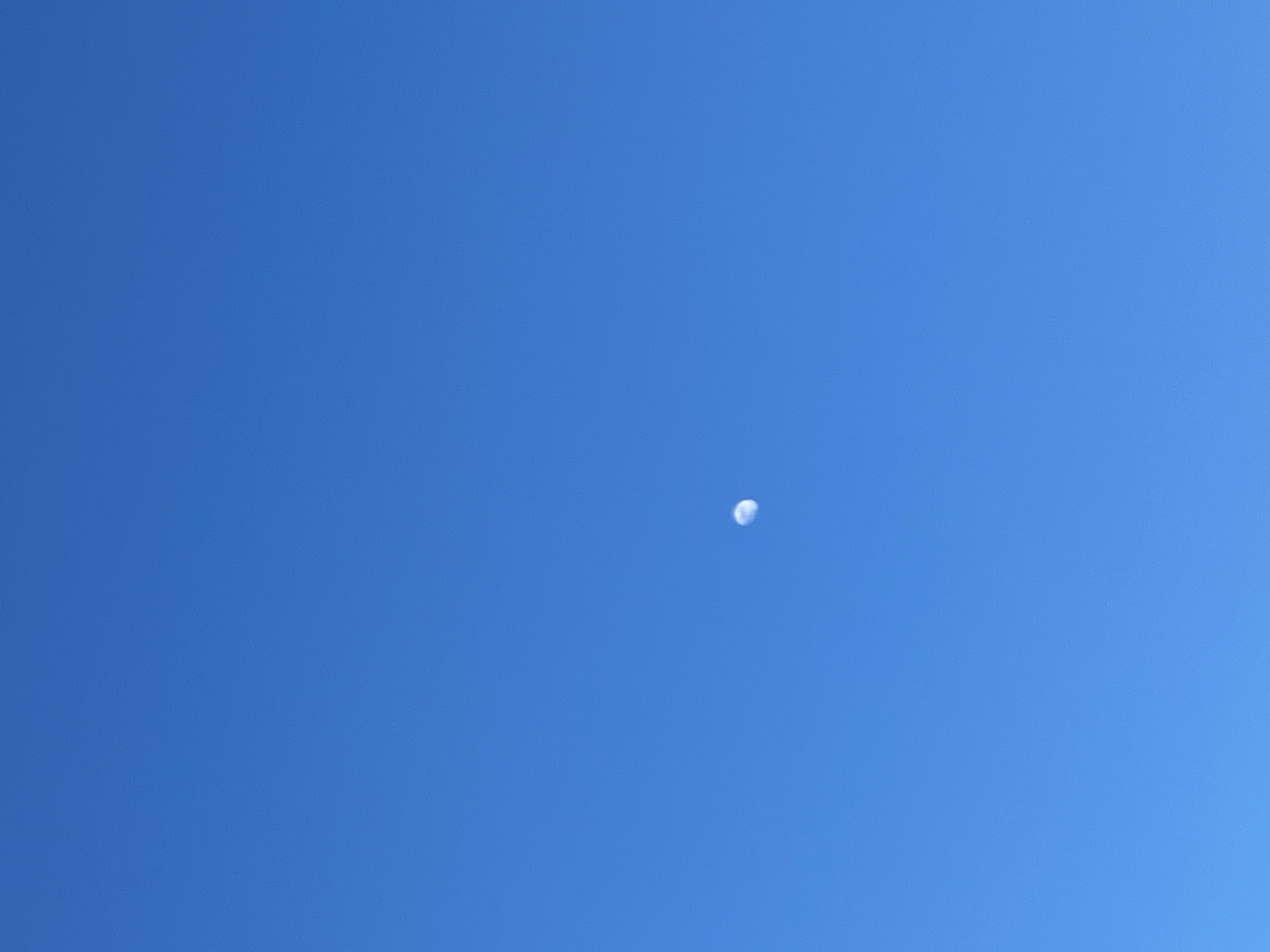 The media file presents a bright, clear blue sky with the Moon visible during the daytime. The sky is entirely cloudless, indicating excellent weather conditions. The Moon appears as a distinct white, partially illuminated sphere, positioned slightly to the upper right of the frame's center. Its phase is a gibbous, with a significant portion of its surface brightly visible against the vivid blue background. There are no other celestial bodies, aircraft, or man-made objects present in the sky. The scene is static, with no activity taking place. The vibrant blue color strongly suggests it is daytime. There is no visible text in the image. This serene and minimalist capture of the daytime Moon is observed from Sochi, Russia.