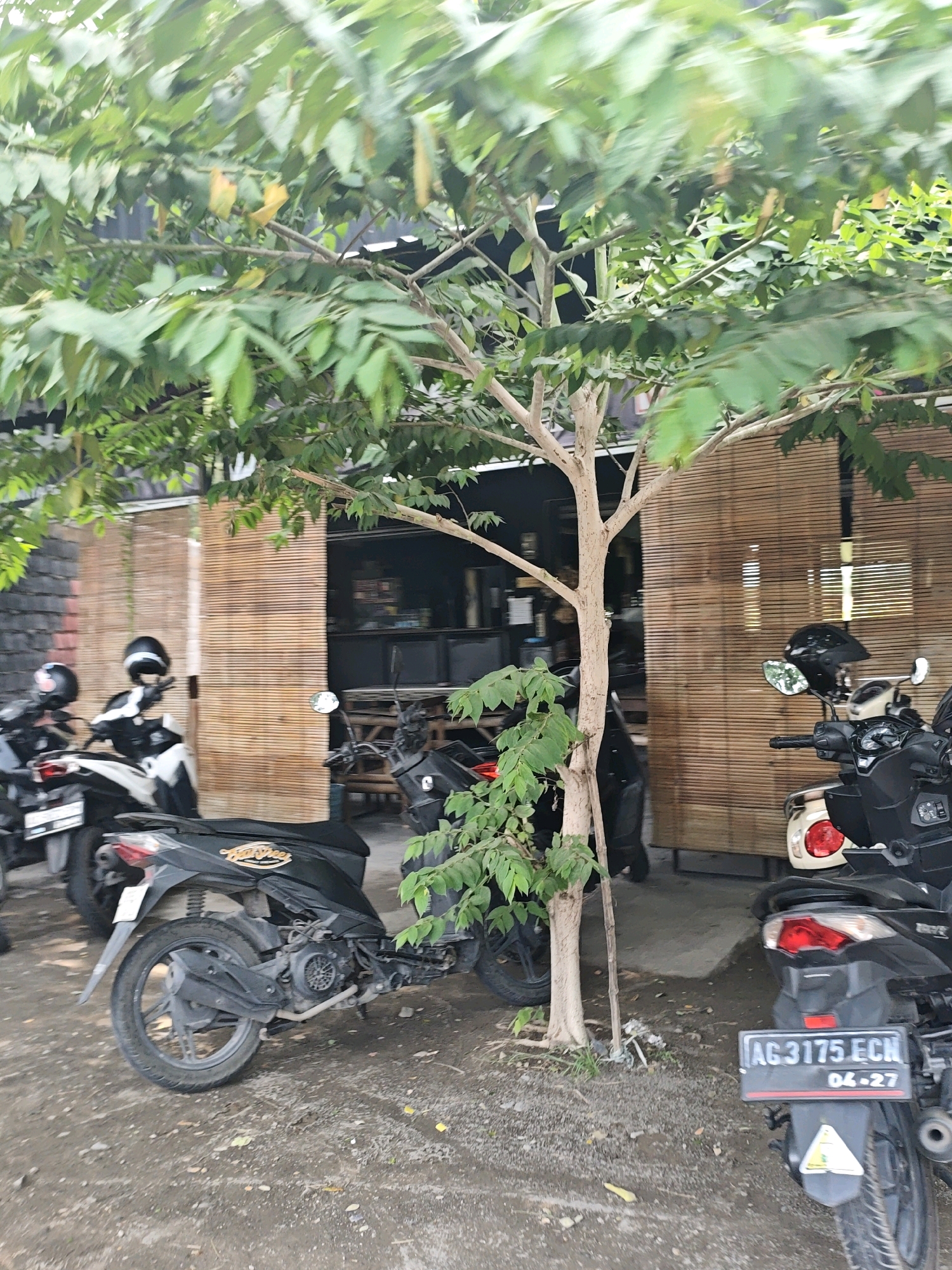 The image depicts an outdoor scene in Ngasem, Indonesia, likely near a building with a facade made of bamboo blinds. Several motorcycles are parked on a gravel and dirt ground. A prominent tree with green leaves stands in the foreground, partially obscuring the view of the building and motorcycles.
In the left side of the image, two motorcycles are visible. One is black and white with a black helmet on its seat, and another is mostly black. Further to the right, another black motorcycle is parked, and in the foreground, a black motorcycle with a license plate reading "AG 3175 ECH" is the most visible. It has a white and yellow sticker below the license plate. The building in the background appears to have a dark interior visible through an opening covered by the bamboo blinds. Some tables and chairs are visible inside the building. The overall impression is that of a parking area outside a shop or eatery.