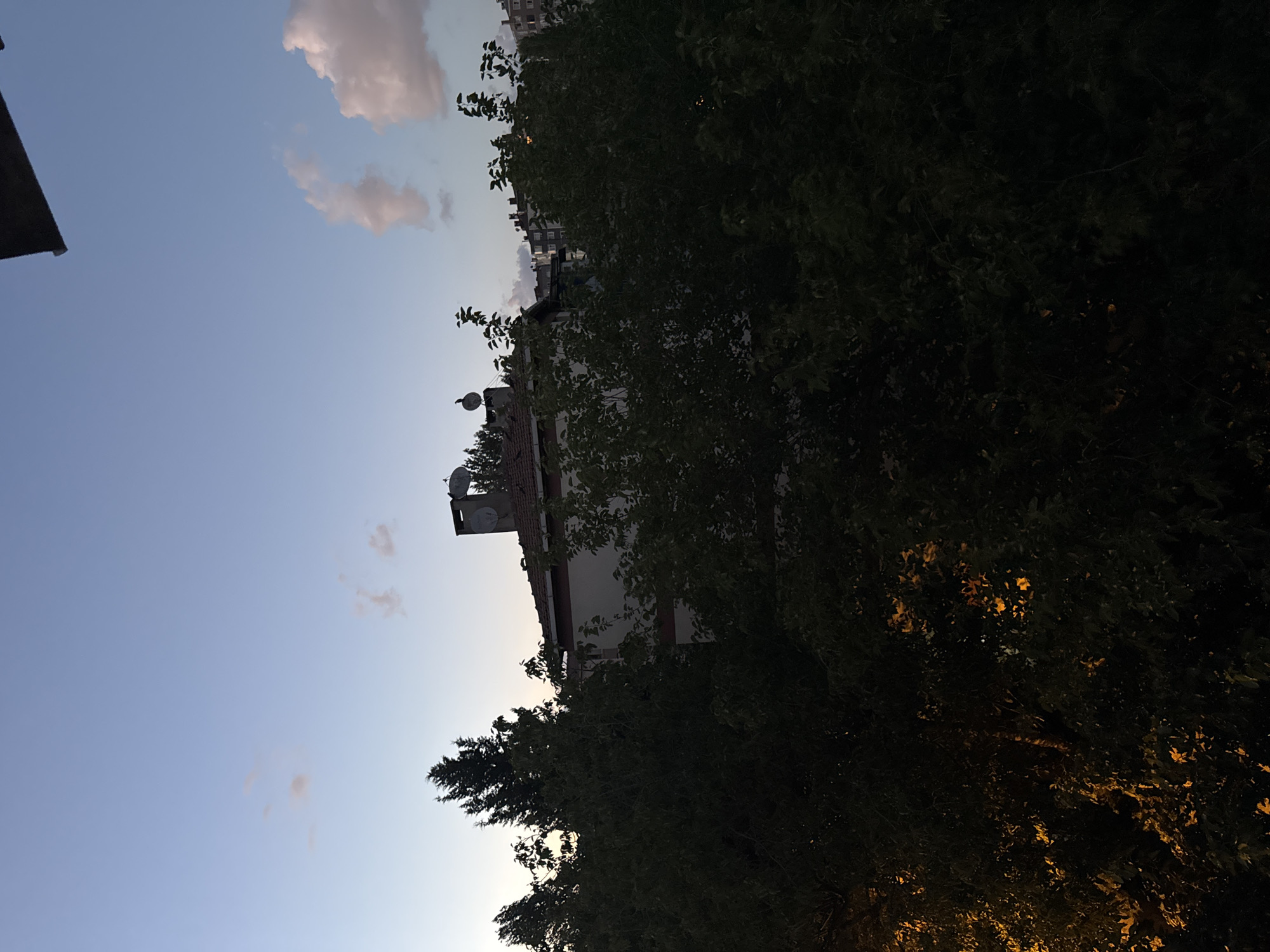 An outdoor, low-angle shot depicts a residential area in Gungoren, Turkey, during twilight. The sky is a gradient of light blue at the top, fading to a pale orange near the horizon. A few wispy pink clouds are scattered across the sky. In the foreground, dense, dark green foliage from trees obscures much of the lower portion of the image. Behind the foliage, a building with a red-tiled roof is visible. A chimney with two satellite dishes is on the roof. To the right, further buildings and trees are visible in the distance. The overall scene suggests a residential neighborhood at dusk, with urban elements interspersed with natural greenery.