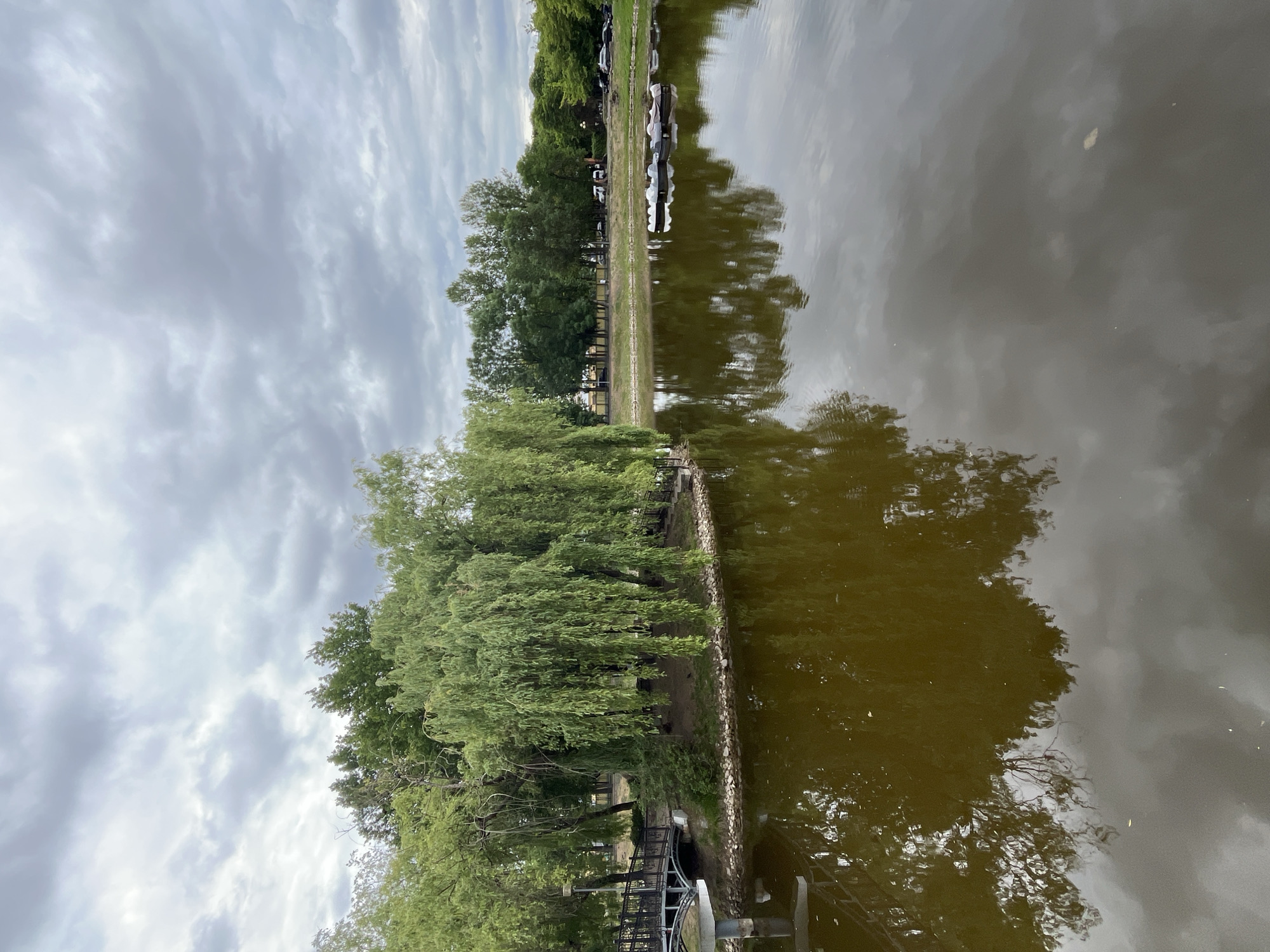 A wide, overcast shot depicts a serene park scene with a lake. A large weeping willow tree dominates the left side of the frame, its branches cascading down towards the water's edge. A decorative bridge with an ornate metal railing arches over a small inlet leading to the island where the willow stands. The lake's surface is a murky brown, reflecting the overcast sky and the surrounding foliage. In the distance, along the far bank of the lake, a line of mature trees stands, with a paved path running behind them. A few parked cars and some indistinct figures can be seen further back, suggesting a public park setting. On the lake's surface, to the right of the frame, a cluster of swan-shaped paddle boats are tethered together, appearing to be unoccupied. The sky is filled with heavy, grey clouds, indicating a cloudy or possibly rainy day.