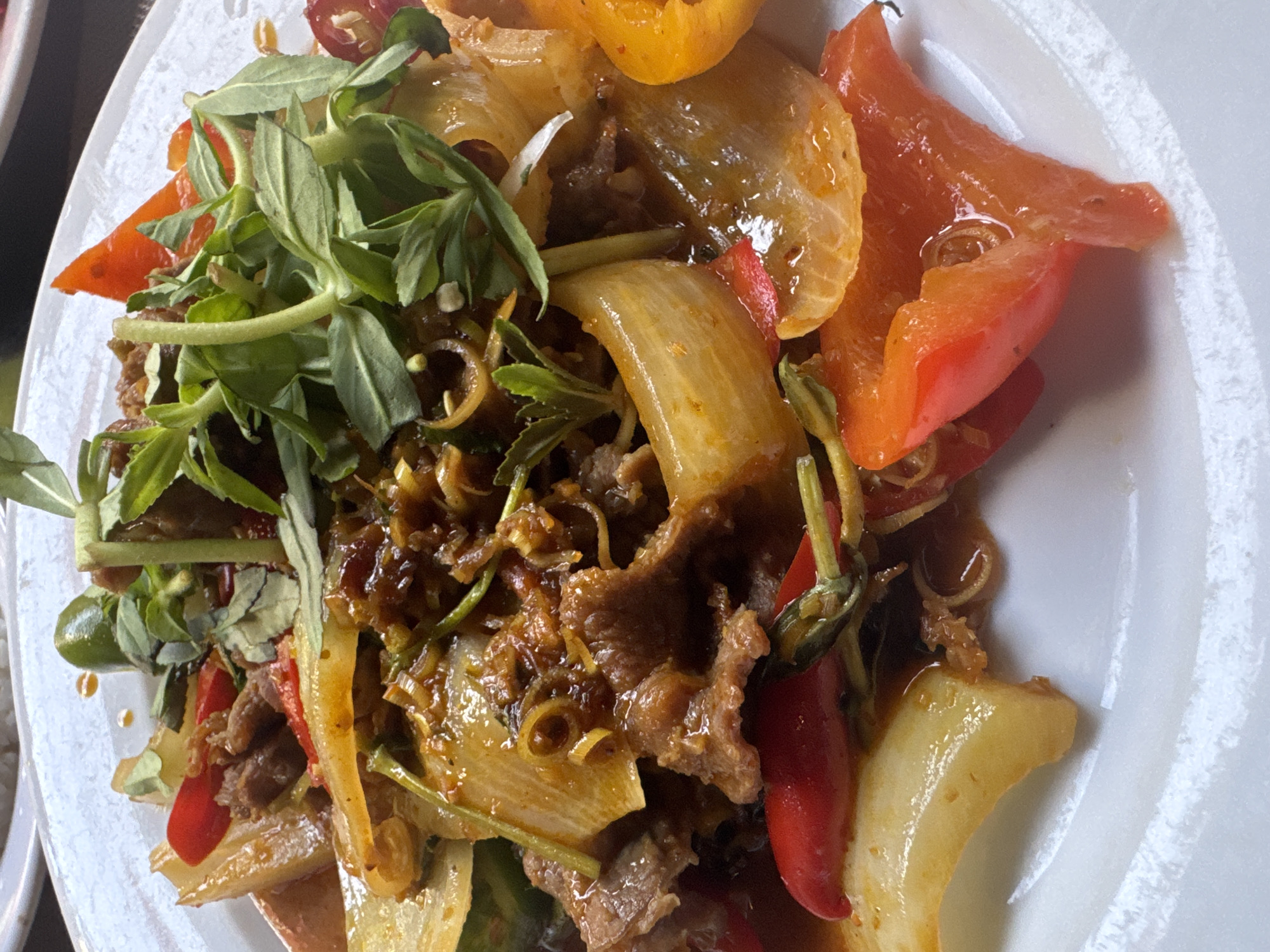 A close-up, overhead shot captures a vibrant and appetizing stir-fry dish served on a white plate. The dish features thinly sliced pieces of dark brown meat, likely beef, mixed with a medley of colorful vegetables. Prominently visible are large, translucent slices of what appear to be yellow onions, along with bright red and orange bell pepper strips.
The entire dish is coated in a rich, glossy, reddish-brown sauce, which appears thick and flavorful. Scattered throughout are smaller pieces of what could be chopped garlic, ginger, or chili, adding to the dish's complexity. A generous amount of fresh green herbs, resembling basil or mint leaves, are piled on top, providing a fresh contrast to the cooked ingredients. Some thin, bright green stalks, possibly lemongrass or scallion pieces, are also interspersed.
The ingredients are arranged in a casual yet appealing manner, suggesting a freshly prepared meal. The white plate serves as a neutral background, allowing the colors and textures of the food to stand out. No people or text are visible in the image. The lighting is bright and even, highlighting the glistening sauce and the fresh appearance of the herbs. The image evokes a sense of warmth and a focus on the culinary presentation of the dish.
