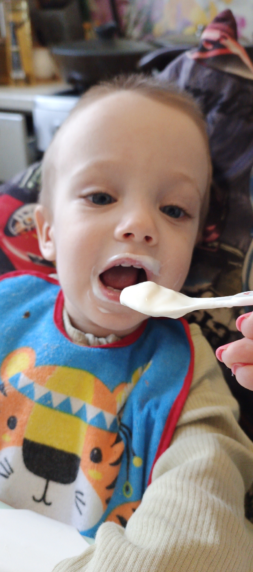 This close-up portrait captures a young child, likely a toddler, being fed in an indoor setting, possibly a home in Chaikovsky, Russia. The child has fair skin, light hair, and bright blue eyes, looking directly forward. Their mouth is wide open, with traces of white food, resembling yogurt or puree, around the lips, as a white spoon filled with the same food approaches. The spoon is held by an adult hand, identifiable by fingers with pink nail polish, suggesting a caregiver is present.
The child is wearing a vibrant blue bib with a red border, featuring a detailed, colorful cartoon tiger or lion face design in orange, yellow, and black. Beneath the bib, a cream-colored, ribbed long-sleeved top is visible. The child appears to be seated in a high chair or booster seat, with a red car motif partially visible on its side. The background is softly blurred, showing indistinct household objects, including bottles and a dark bowl, consistent with a kitchen or dining area. The overall scene depicts a typical mealtime moment, with the child focused on eating. No text is visible in the image.
