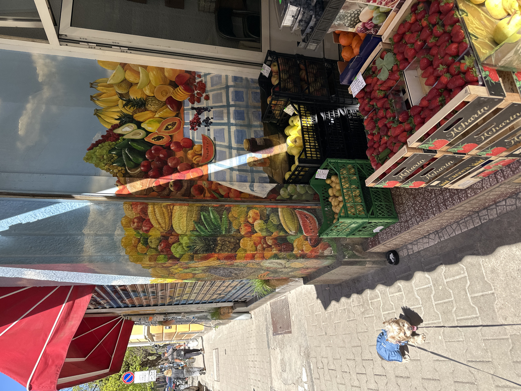 A street-level outdoor shot depicts a fruit stand in Sofia, Bulgaria. The stand's storefront features a painted mural of various fruits. Crates of strawberries, apples, oranges, and potatoes are displayed outside the store. A small dog wearing a blue dress sits on the sidewalk next to the stand. People on bicycles are visible in the background. A red awning shades the street in the lower left corner. The sidewalk is paved with interlocking gray stones.