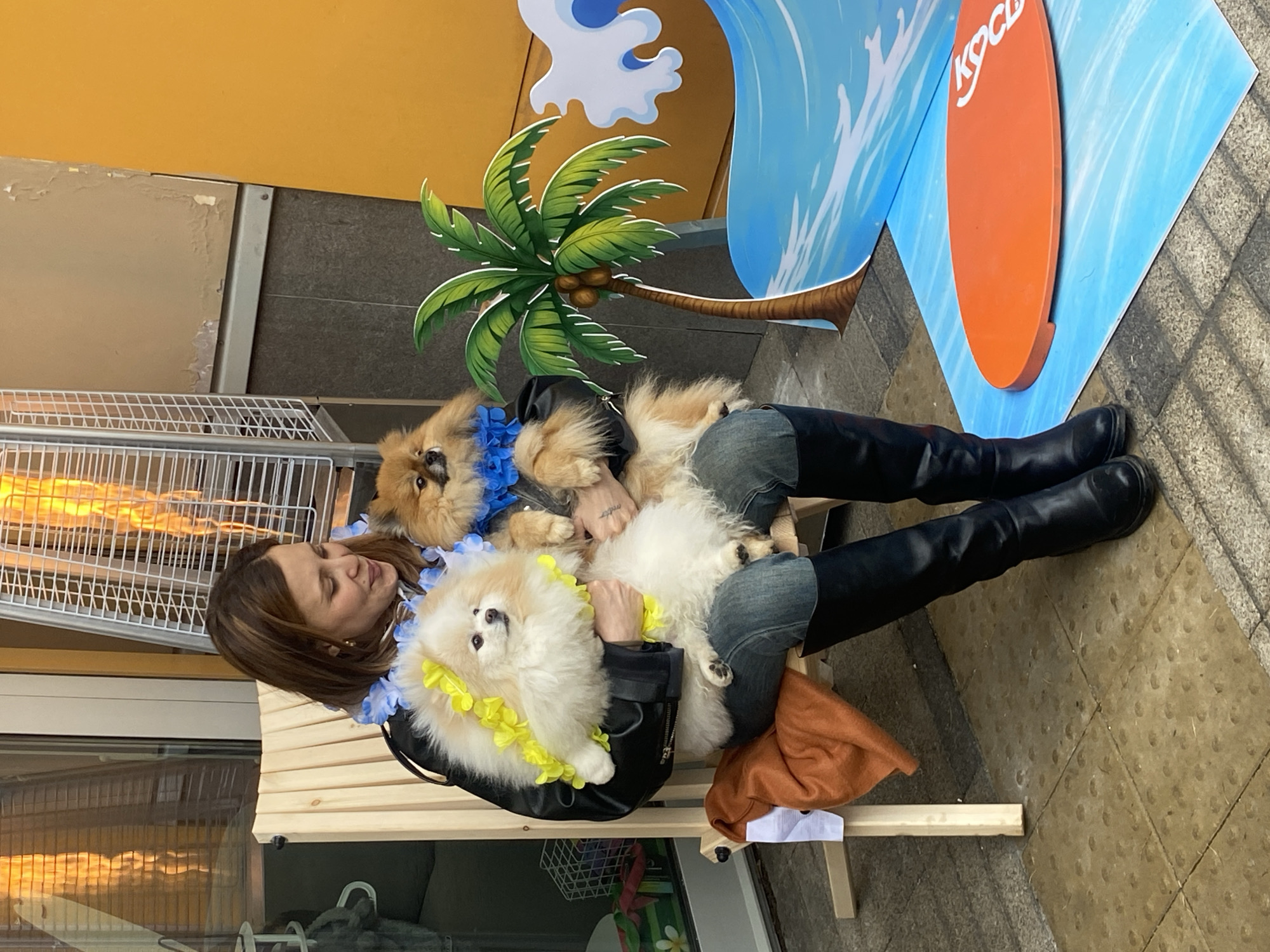 The image depicts a woman seated on a wooden bench outdoors. She is wearing a black jacket, blue jeans, and black boots. She is holding two small dogs in her lap, each adorned with a lei. The dog on top is light brown and has a blue lei, and the dog on the bottom is cream-colored with a yellow lei. The woman is looking down at the dogs.
Behind her, there is a backdrop featuring a palm tree, a wave, and a surfboard with the letters "KOCB" on it. To the left, there is a metal cage-like object with what appears to be an electric heater inside. The background includes a yellow wall and a grey tiled surface. The floor is covered in yellow rectangular tiles.
Based on the presence of palm trees, waves and surfboards on a backdrop, this scene is set in Moscow, Russia, despite the lack of a coast line. This indicates that the scene is possibly a themed-event or a promotional installation with an beach/tropical motif that is out-of-place for the city of Moscow.
