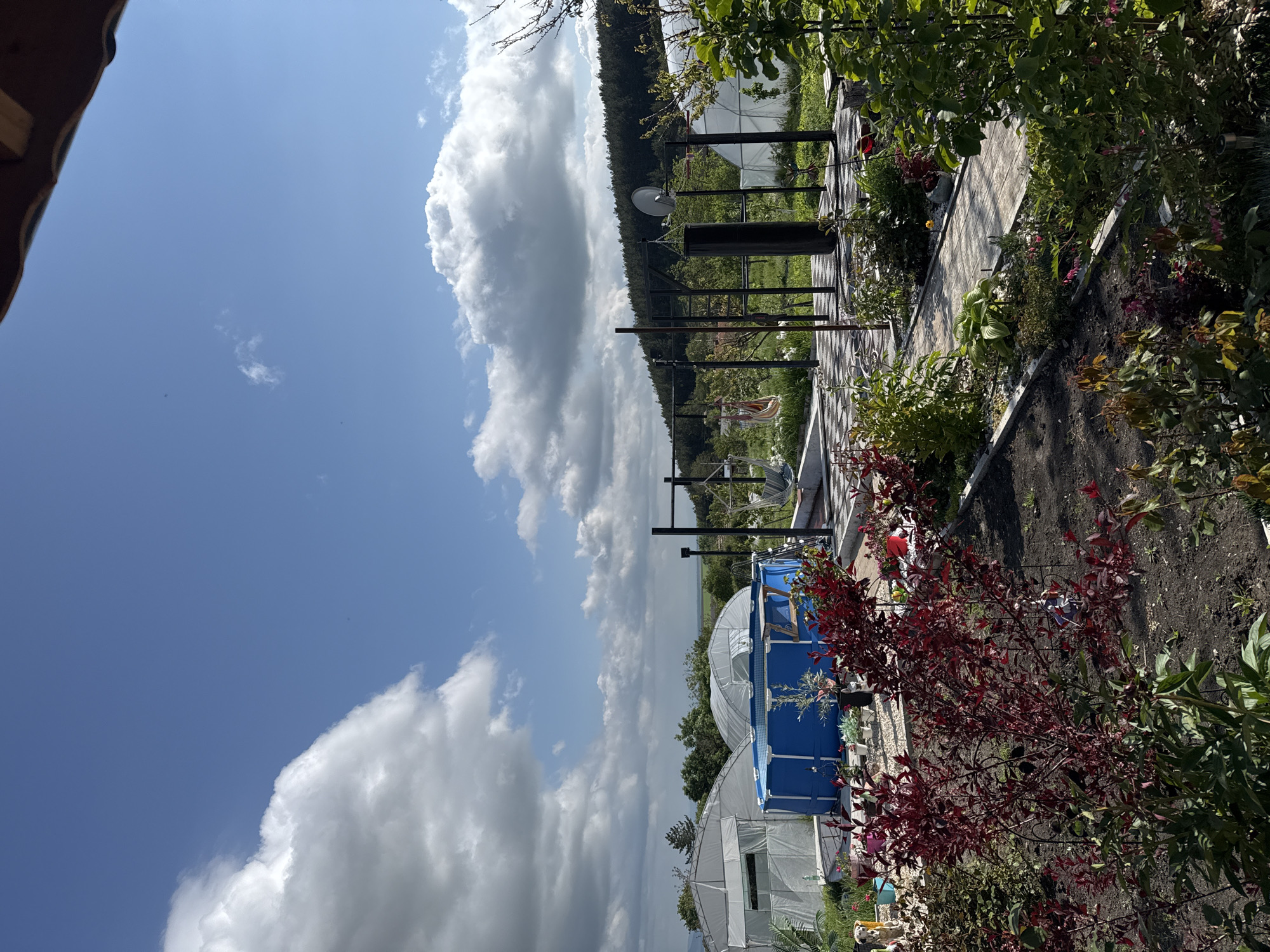 The image shows a backyard scene in Praventsi, Bulgaria. A blue above-ground pool is a prominent feature, positioned near a greenhouse-like structure. There is a pathway with patterned paving stones, bordered by garden beds with various plants and flowers. A metal structure with hanging elements is visible along the pathway. The background includes trees and a view of the sky with clouds. The image seems to have been taken on a sunny day.