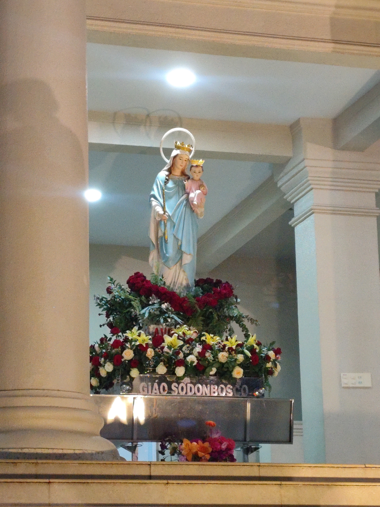 The image displays a religious statue of the Virgin Mary holding the infant Jesus, set within what appears to be a Catholic church or a sheltered sacred space. Mary is depicted wearing a blue robe and white undergarment, adorned with a golden crown and a halo, holding a staff or scepter. The infant Jesus, also crowned and dressed in pink, is held in her right arm.
The statue is positioned on a raised platform, generously decorated with a vibrant arrangement of fresh flowers. This arrangement primarily consists of red roses, white roses, and yellow lilies. More assorted flowers in orange, red, and purple hues are visible on a lower step in the foreground.
Architecturally, the setting features large, light-colored columns, with one prominent on the left and a part of another on the right, suggesting a grand structure. The ceiling above has several bright, recessed lights that illuminate the statue and its surroundings, indicating an indoor or evening setting. The bright lights create a reverent atmosphere.
Visible text on the front of the statue's base clearly reads "GIAO SODONBOSCO." This likely refers to "Giáo xứ Don Bosco" (Don Bosco Parish) or a similar Catholic institution. Given the context that the photo was taken in Da Lat, Vietnam, this identifies the location as a Catholic church or religious site associated with Saint John Bosco in that area. The scene conveys a sense of devotion and worship.