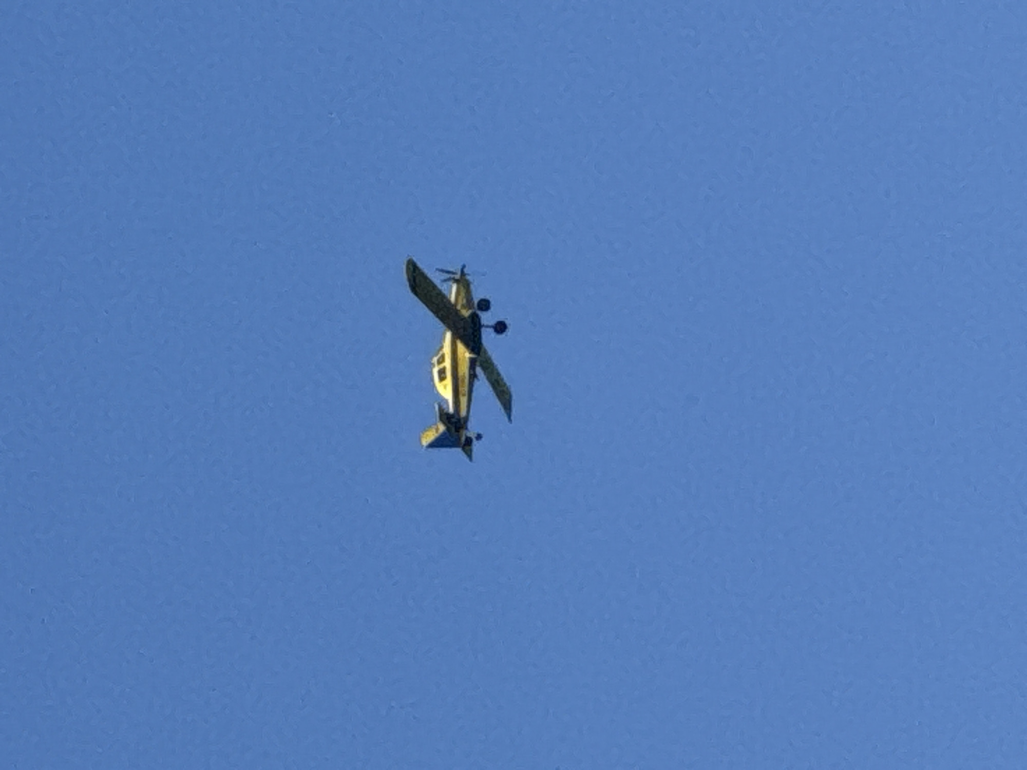 A yellow and blue propeller airplane is captured in mid-flight against a clear blue sky. The aircraft is angled slightly upward, with its wings spread and landing gear visible. The scene is devoid of any urban context or identifiable landmarks, making it impossible to determine a specific location within Budva, Montenegro, or any other city. The image focuses solely on the airplane and the vast expanse of the sky.