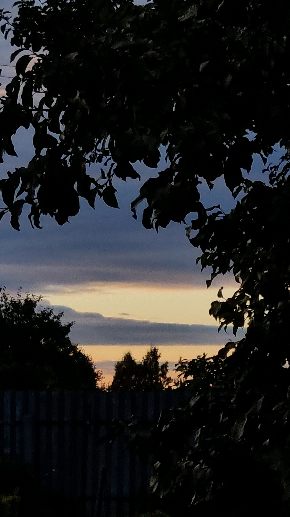 The image captures a twilight scene viewed through the silhouette of dark foliage, framing a cloudy sky. The sky displays a gradient of colors, transitioning from a deep blue at the top to lighter hues of gray and a band of pale yellow near the horizon. Below the sky, a dark silhouette of a corrugated metal fence runs horizontally across the lower portion of the image, separating the foreground from the sky. Various trees are visible as dark shapes behind the fence, and more foliage, also in silhouette, dominates the foreground and edges of the frame. The scene appears to be an outdoor environment, possibly a backyard or a rural setting within or near the city of Vysokoe, Russia, given the twilight lighting and the presence of a fence and trees. There are no people or discernible actions depicted in the image.