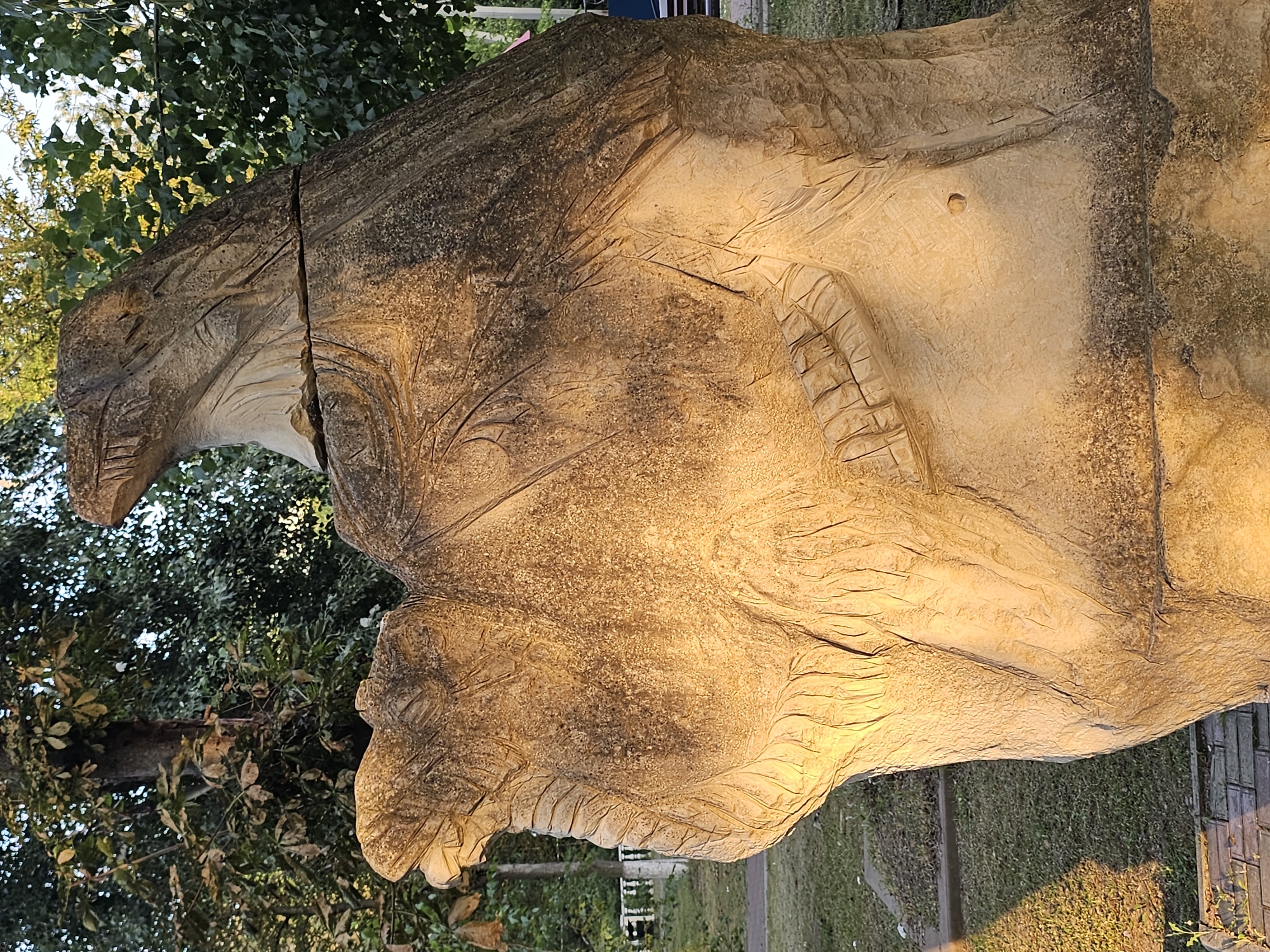 The image shows a large, weathered wooden sculpture of a bird, possibly an eagle or hawk, carved from a tree trunk. The sculpture is positioned outdoors in a grassy area with trees in the background. The lighting suggests it is either early morning or late afternoon, with sunlight casting long shadows. The sculpture is detailed, with visible carvings representing feathers, talons, and the bird's head and beak. A horizontal crack runs across the upper part of the sculpture. The environment appears to be a park or public space. Based on available information, this sculpture is located in the city of Cherkessk, Russia, specifically in the central park.