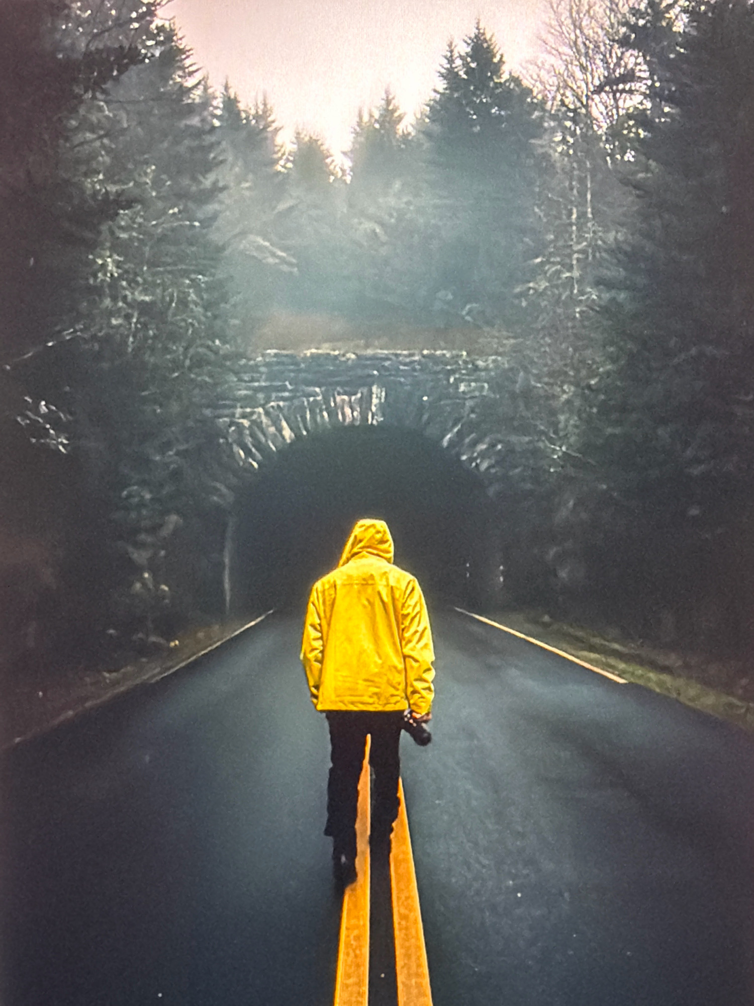 A person wearing a bright yellow hooded jacket and black pants stands on an asphalt road, facing away from the camera. They are positioned in the center of the road, which has a double yellow line running down its middle. The person is holding a camera in their right hand. The road leads towards a stone-arched tunnel, which appears dark and mysterious. Dense, dark green pine trees line the sides of the road and surround the tunnel, their tops obscured by a hazy, bright sky that suggests either fog or a very diffused light source. The overall atmosphere is somewhat somber and moody. The location is not Kafr Yasif, Israel.