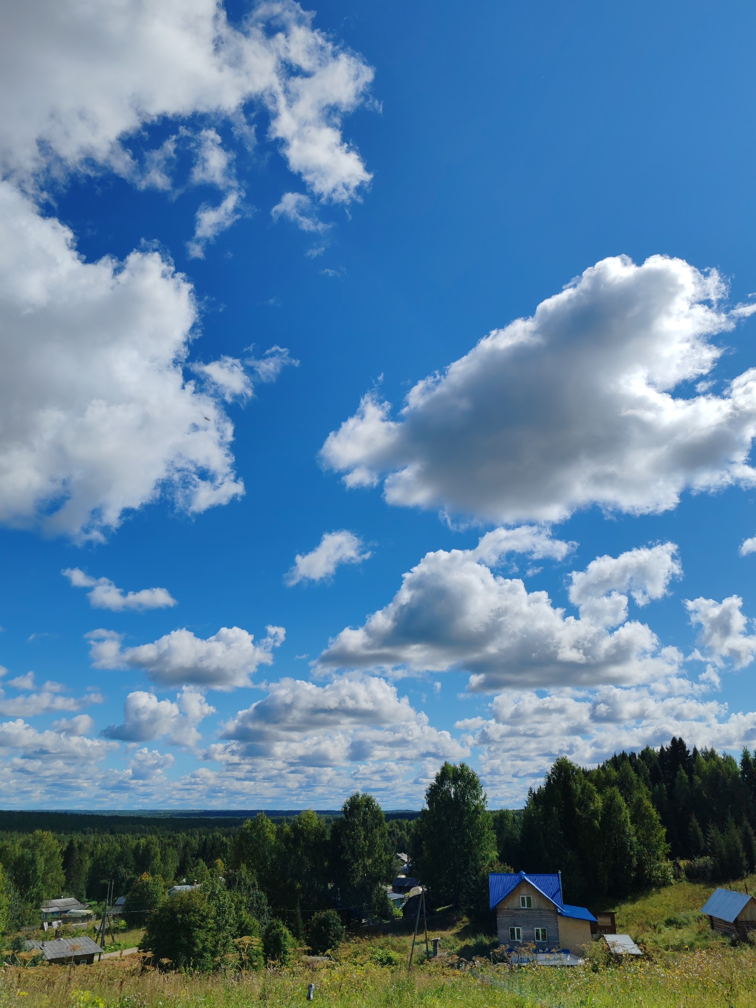 The image depicts a rural landscape under a bright blue sky dotted with fluffy white clouds. In the foreground, a grassy, slightly overgrown hillside slopes downwards, with dry grasses and scattered wildflowers. A few wooden structures are visible, including a small, rustic house with a blue metal roof and several outbuildings. In the middle ground, a dense line of green trees forms a forest boundary. Beyond the forest, a hazy horizon suggests a vast, open landscape. The scene appears to be a serene, natural environment, likely in a rural area such as Чухлэм, Russia. No people are present in the image.