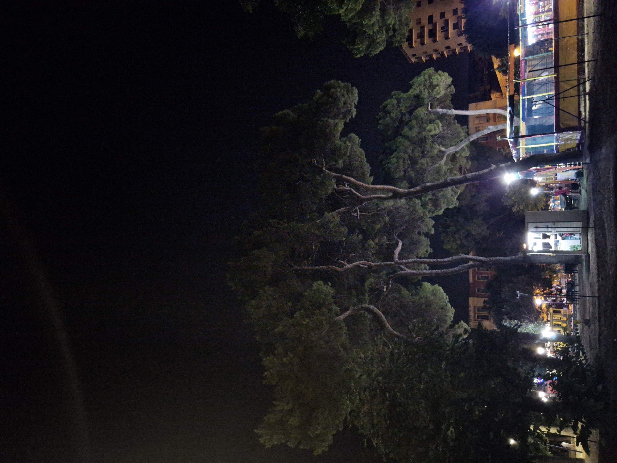 A nighttime scene in Taranto, Italy, shows a park area with several large pine trees in the foreground. Behind the trees, various structures are visible, including what appears to be a small amusement park ride or attraction with colorful fencing and lights. In the background, buildings, including a tall apartment building, are illuminated against the dark sky. Several lampposts are present, casting pools of light on the ground. A few people are scattered throughout the scene, some near the attraction and others walking in the park. The overall atmosphere is that of a lively evening in a public space.