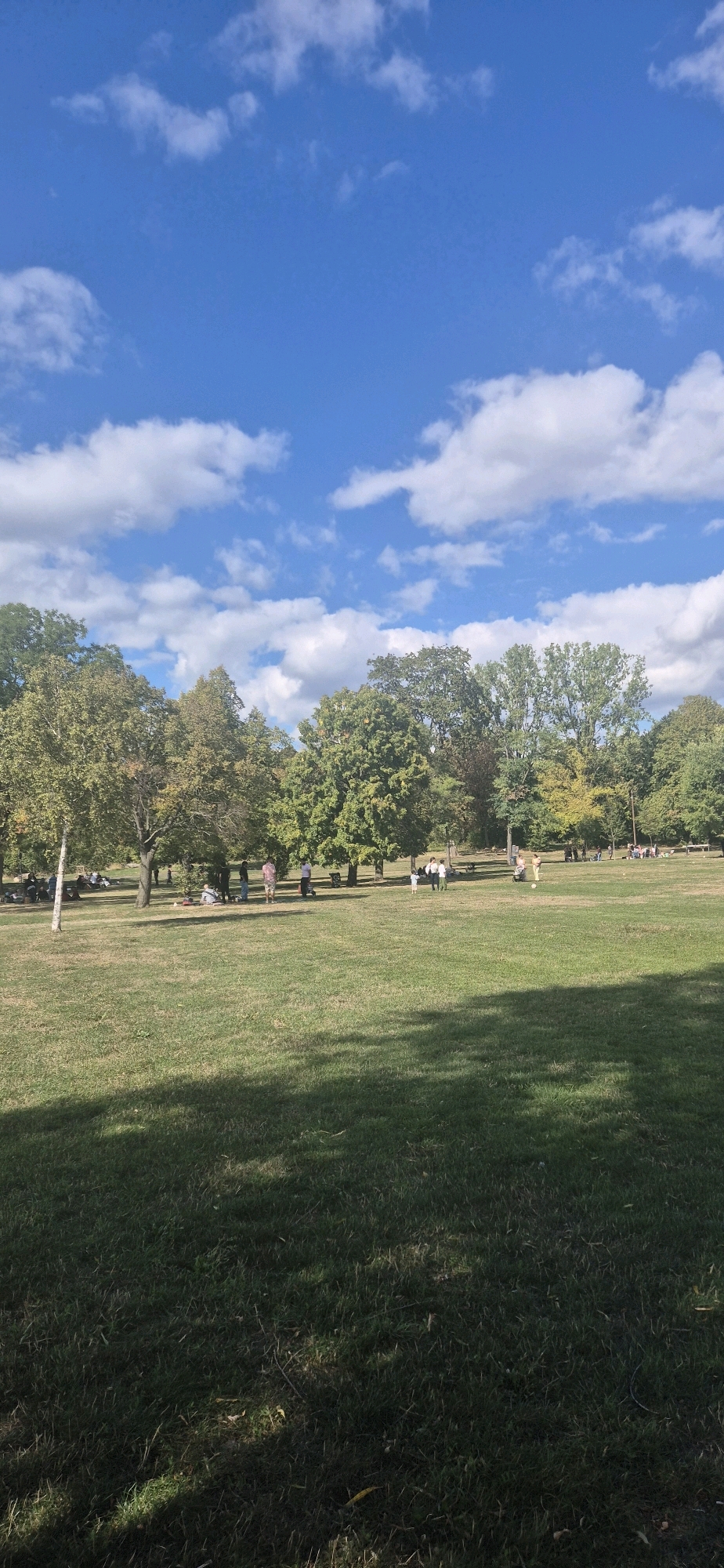 The image depicts a park on a sunny day with scattered white clouds in a bright blue sky. The foreground is dominated by a well-maintained grassy lawn, with a large portion of it in shadow cast by unseen trees. In the middle ground, a group of people are visible enjoying the park. Some are seated on blankets or the grass, while others are standing and interacting. A child is seen standing near a group of adults, and a ball is visible on the grass near a few individuals who appear to be engaged in a game. Trees with green foliage line the background of the park. The scene is consistent with a public park in Wiesbaden, Germany, offering a recreational space for residents.