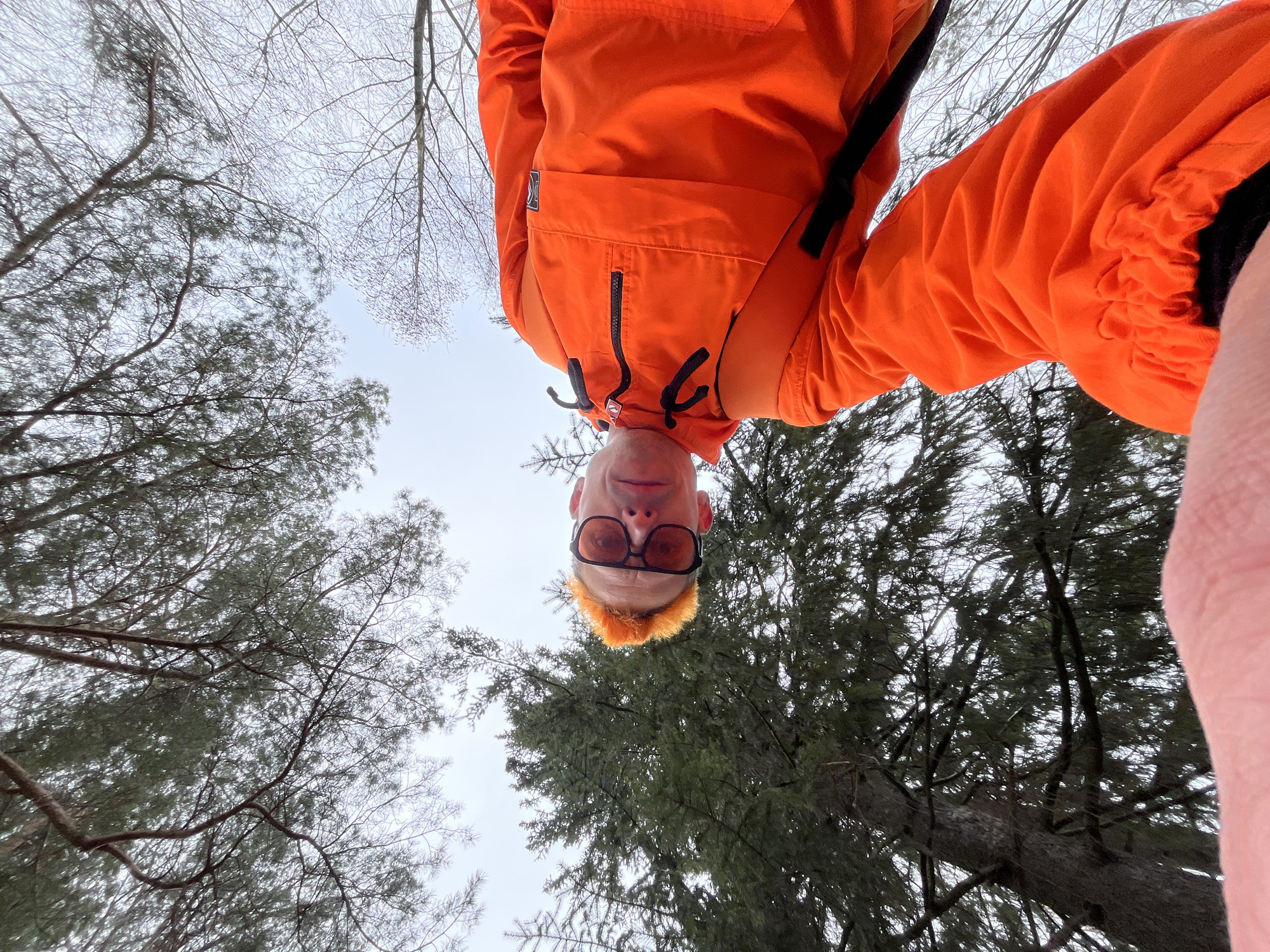 An upward-angle photograph captures a person in a forest setting, looking down towards the camera. The subject, likely male, wears a bright orange anorak or jacket with black details, including zippers, drawstrings, and straps. An illegible patch or logo is visible on the left chest of the jacket. The person's head is positioned at the bottom center of the frame, adorned with sunglasses featuring dark frames and orange-tinted lenses. They have short, reddish-orange hair.
The background consists of a dense canopy of trees against a bright, overcast sky. Both conifer trees with dark green needles and deciduous trees with bare branches are present, suggesting a mixed forest environment in a potentially cooler season. The perspective is unusual, giving the impression of the person being viewed from below, possibly a selfie taken from a very low angle. The overall mood is natural and somewhat stark due to the muted sky and bare branches. The image depicts an outdoor scene in a wooded area, consistent with the provided location context of Chaikovsky, Russia. No specific activity beyond posing is evident, and the person's expression is neutral. No clear text is legible on the jacket or in the scene.