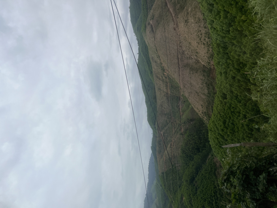 The scene depicts a mountainous landscape in the Aê Thi region of Vietnam, observed under a uniformly overcast sky. The terrain features multiple undulating hills extending into the background. The foreground and midground display a mosaic of vegetation, including dense areas of vibrant green, young trees, alongside distinct sections of cleared or recently deforested land appearing as lighter brown patches with sparse stubble and visible linear patterns, possibly terraces or access roads. Several dark, horizontal utility cables traverse the upper-mid portion of the frame. The immediate foreground contains darker green foliage and taller dry grasses. No individuals, animals, or vehicles are present in the image.