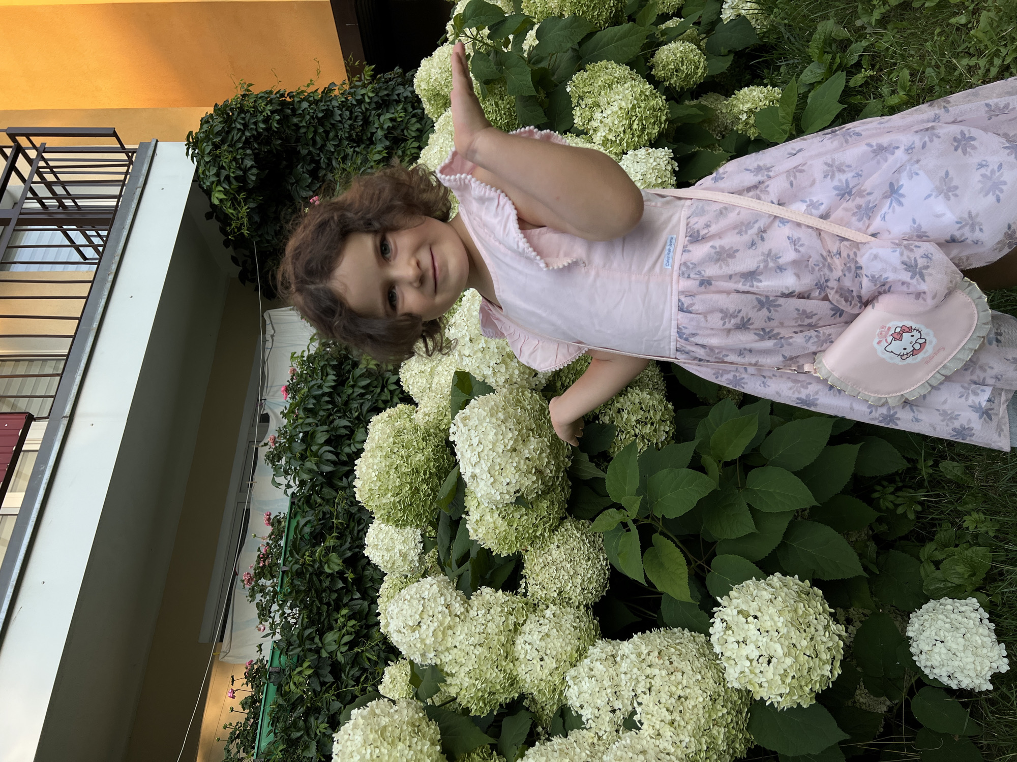A young girl with curly brown hair and a pink dress stands in front of a large bush of white hydrangeas. She is smiling and has her right hand outstretched towards the flowers. The girl is wearing a pink purse with a Hello Kitty design. Behind the hydrangeas, there is a building with a yellow facade and a balcony. The scene appears to be in a residential area, possibly a backyard or a park. The location is not specified to be Lublin, Poland.