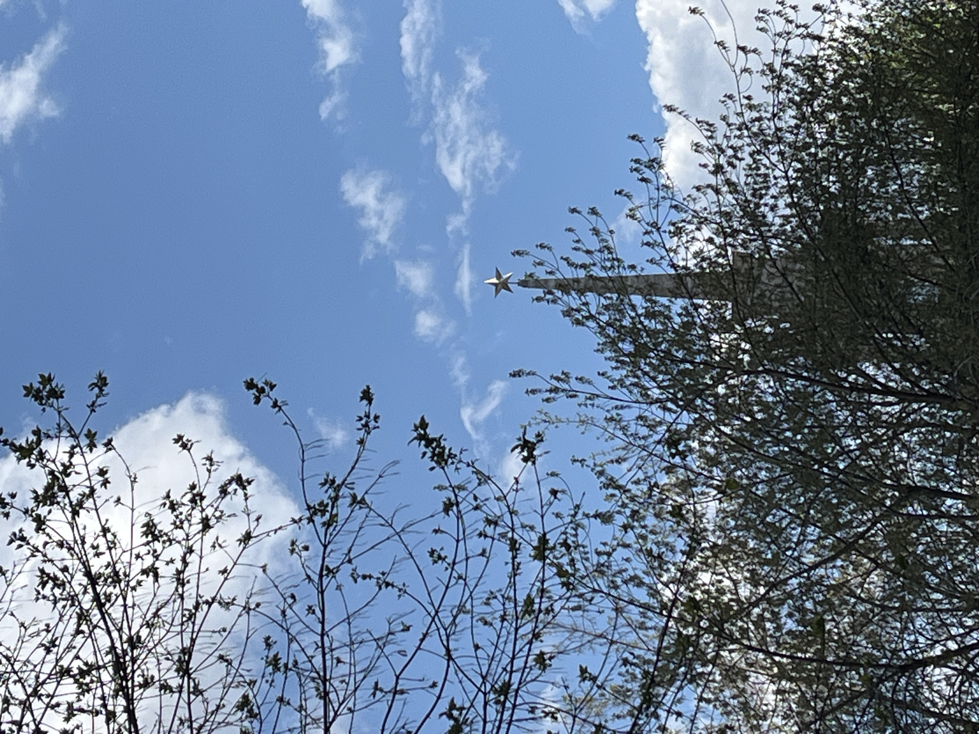 The image shows a view looking up at the sky, which is blue with scattered white clouds. In the center of the frame, a five-pointed star is visible atop a tall, thin structure, likely a tower or flagpole. The foreground is filled with tree branches, some with new leaves emerging, creating a natural frame for the scene. The location is in Austin, Texas.