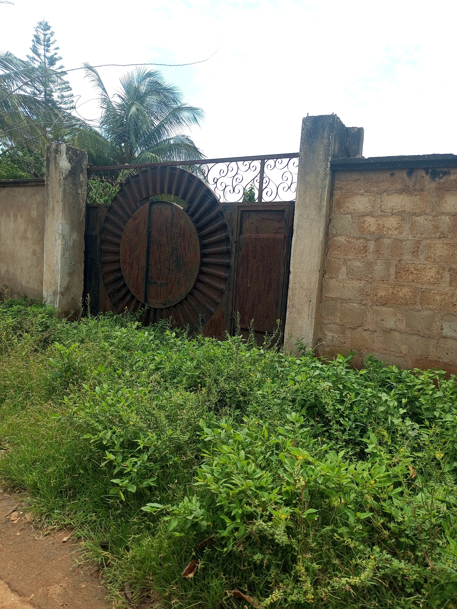 A rusty, circular-patterned metal gate, partially obscured by overgrowth, stands in front of a cinder block wall. The gate appears to be for a property in Iyara, Nigeria, as indicated by the context. The wall is weathered, with a concrete pillar on the left and a section made of rough, sandy-colored cinder blocks. Lush green vegetation, including tall grass and leafy bushes, encroaches on the gate and the base of the wall. In the background, palm trees and a tall, slender tree are visible against a bright, overcast sky. The ground in front of the vegetation is a dirt path.