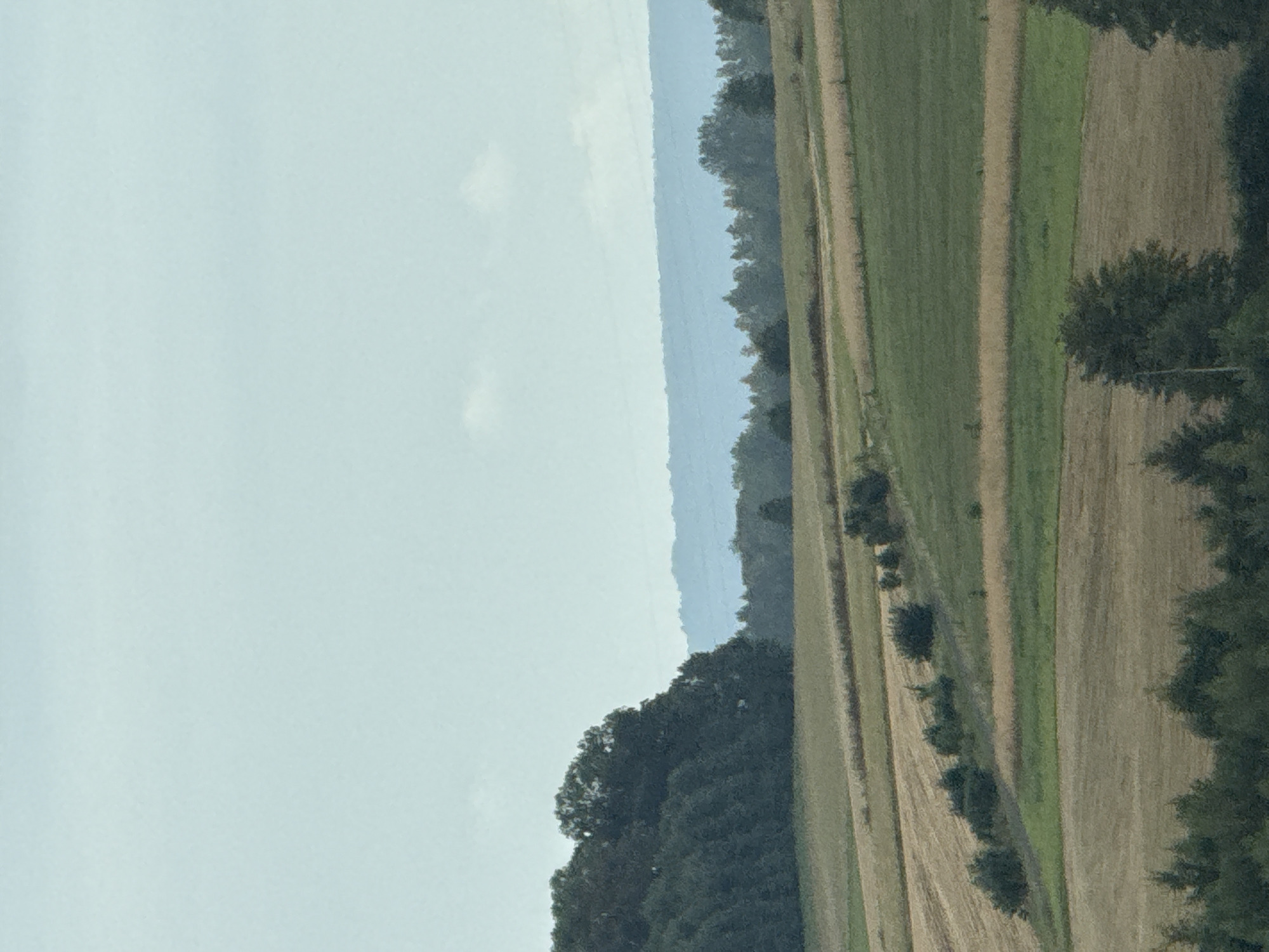 The image depicts a landscape scene of agricultural fields and a forested hill under a hazy sky. The foreground shows several fields of varying textures and colors, suggesting different crops or stages of harvest, with some appearing as stubble and others as green vegetation. Scattered trees and bushes dot the landscape. In the middle ground, a dense, dark green forest covers a hill that slopes upwards. Beyond the hill, in the background, a range of mountains is visible, appearing as faint blue silhouettes against the sky. The sky itself is pale and overcast, with a few wispy clouds. There are no people or animals visible in the image. The scene is tranquil and appears to be a rural or semi-rural setting.