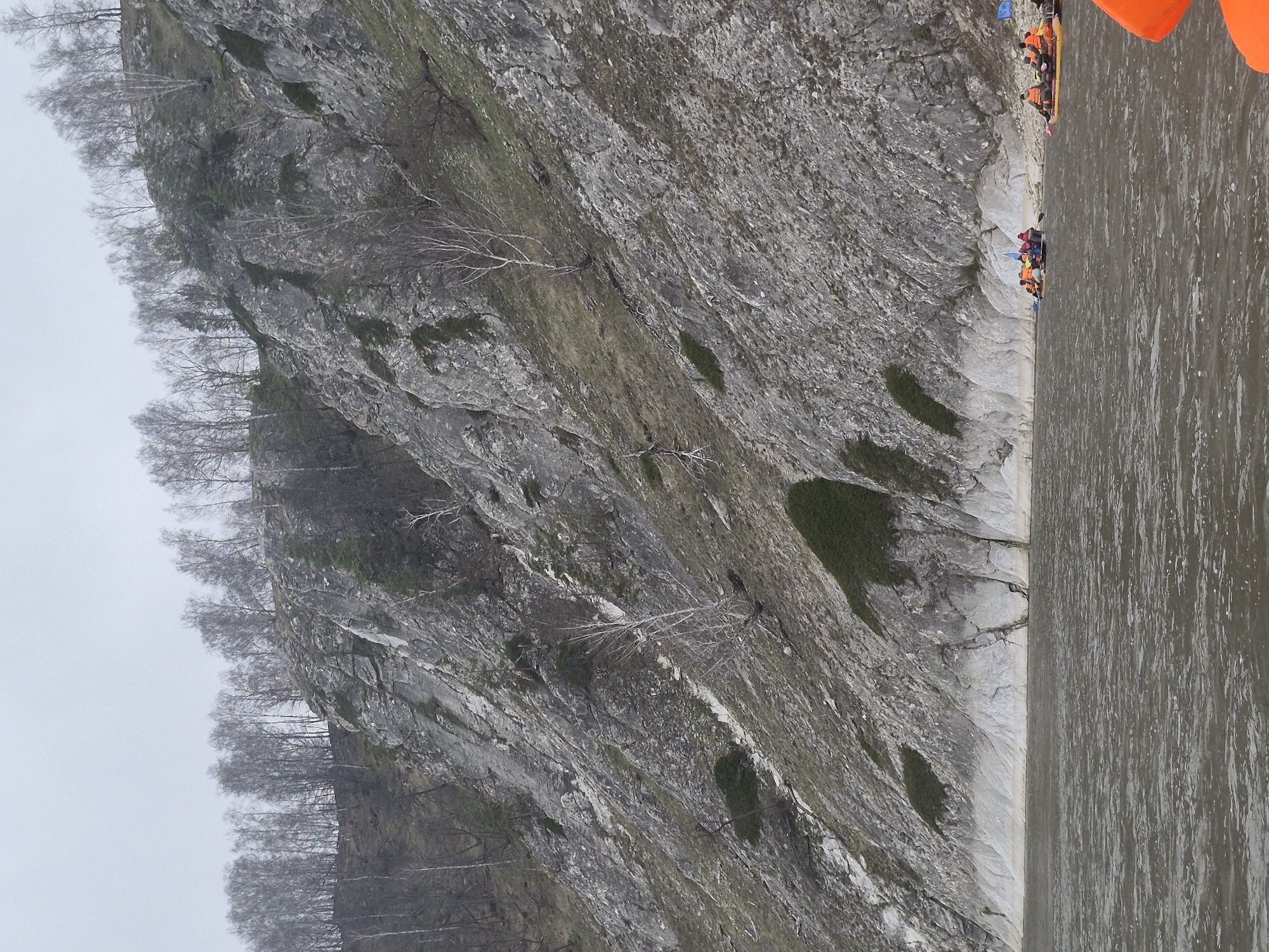 A wide, landscape-oriented image, captured on an overcast day near Старомунасипово, Russia, depicts a rugged natural scene dominated by a towering rocky cliff. The steep cliff face, composed of grey and light-colored rock with patches of darker vegetation and moss, rises prominently on the left side of the frame. Its upper edge is lined with numerous bare-branched trees, suggesting a cold season such as late winter or early spring.
At the base of the cliff, a narrow strip of light-colored shore, likely composed of pebbles or sand, meets a wide body of murky, grey-brown water, characteristic of a river. On this shore, two distinct groups of people are gathered. Most individuals are wearing bright orange life jackets, indicating their participation in a water-based activity. Several inflatable rafts or boats are visible, including a yellow one crowded with people, and another partially visible nearby. A blue flag or banner is also present among one of the groups. In the immediate foreground, a bright orange object, possibly part of a boat or equipment close to the camera, is partially visible. The sky, a uniform light grey, occupies the upper right portion of the image, confirming the overcast conditions. The scene captures an outdoor rafting or boating excursion in a remote, natural environment. No visible text is present.