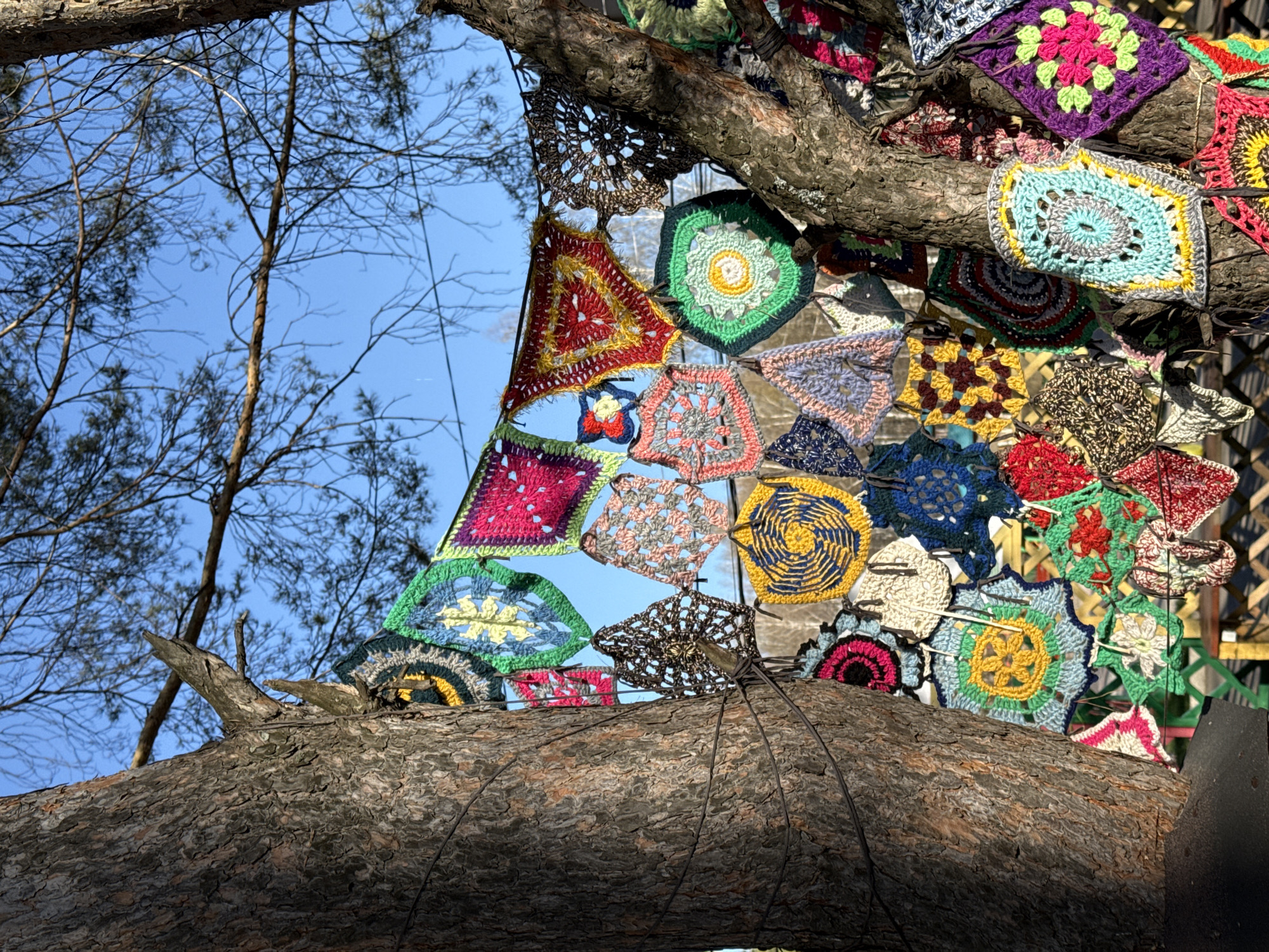 Captured in Chaikovsky, Russia, the scene features a tree adorned with an array of colorful, crocheted patches of various shapes and sizes. The patchwork is strung up on the tree trunk and branches, creating a vibrant display. The backdrop reveals the bare branches of other trees against a blue sky. A section of the scene is reflected in a mirror that is also hanging on the tree.