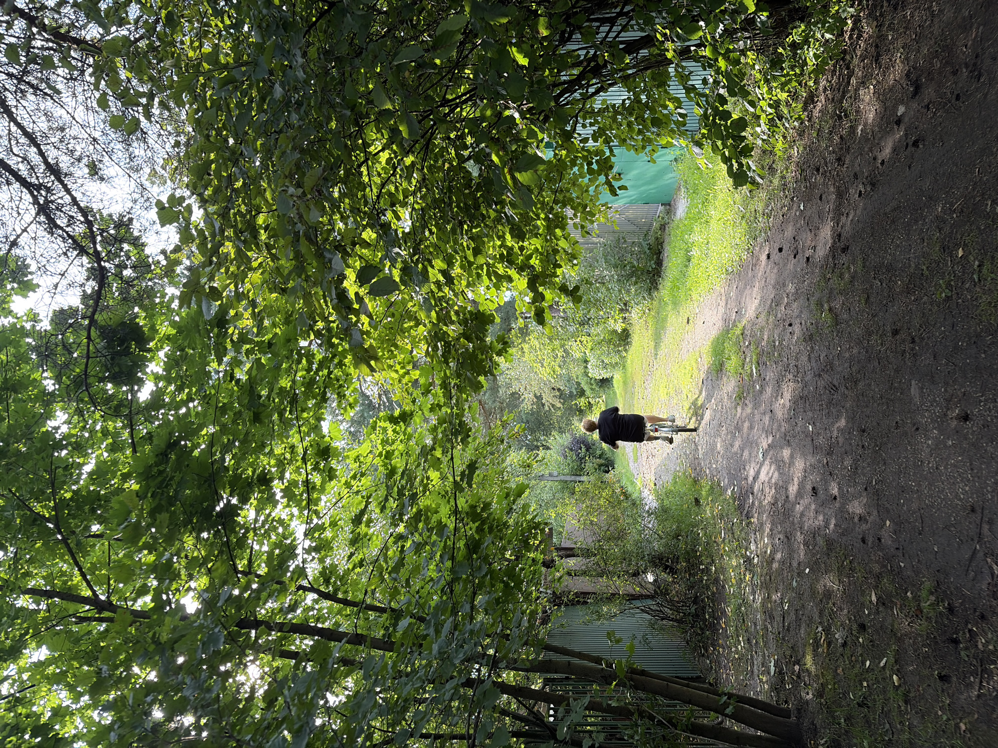 A person is cycling away from the camera on a dirt path lined with lush green trees and a green fence. Sunlight filters through the dense foliage, casting dappled shadows on the path. The setting appears to be a rural or suburban area, possibly within a dacha settlement like Электротехник Снт, Russia, given the presence of a fence and natural greenery. The person is wearing dark clothing and appears to be alone. The overall atmosphere is peaceful and serene, suggesting a recreational activity on a clear day.