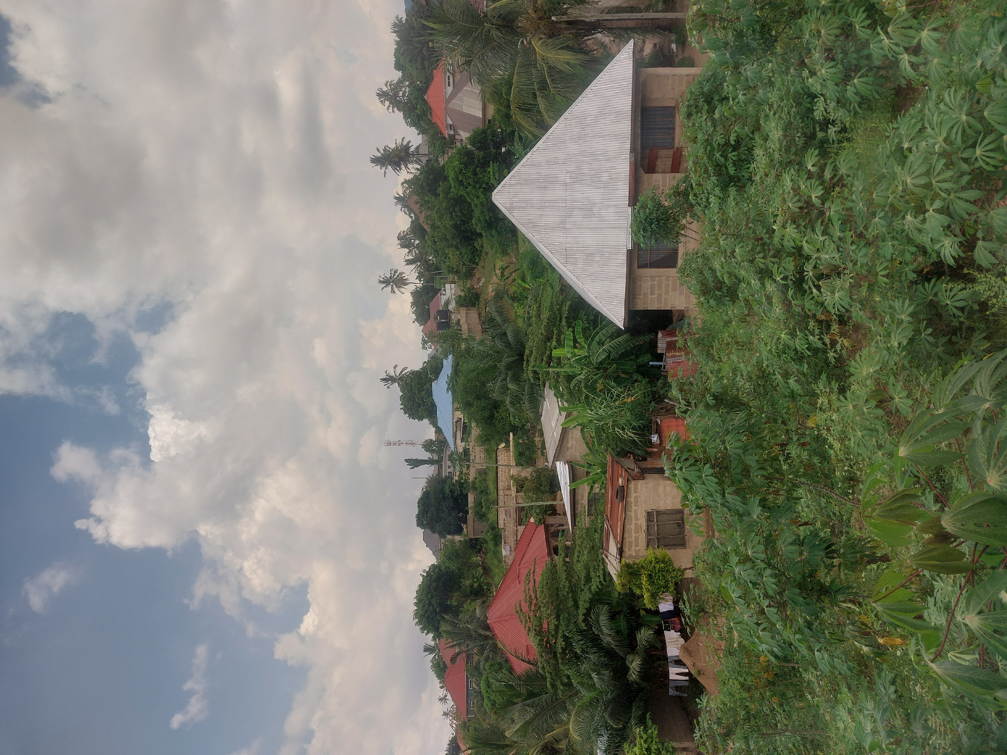 The image presents a hillside view in an urbanized area, likely within Dar es-Salaam, Tanzania, characterized by a mix of residential buildings and lush vegetation.
Buildings: Structures vary in design, with some featuring corrugated metal roofs (one notably triangular), while others have red-tiled roofs. Walls are primarily constructed from concrete blocks, and windows are visible on several buildings.
Vegetation: The foreground and surrounding areas are dominated by dense vegetation, including what appears to be cassava plants and various trees, indicative of a tropical climate.
Sky: The sky is overcast with cloud cover.
Overall: The scene depicts a residential area on a hillside, typical of some regions in Dar es-Salaam, blending urban development with the natural environment.