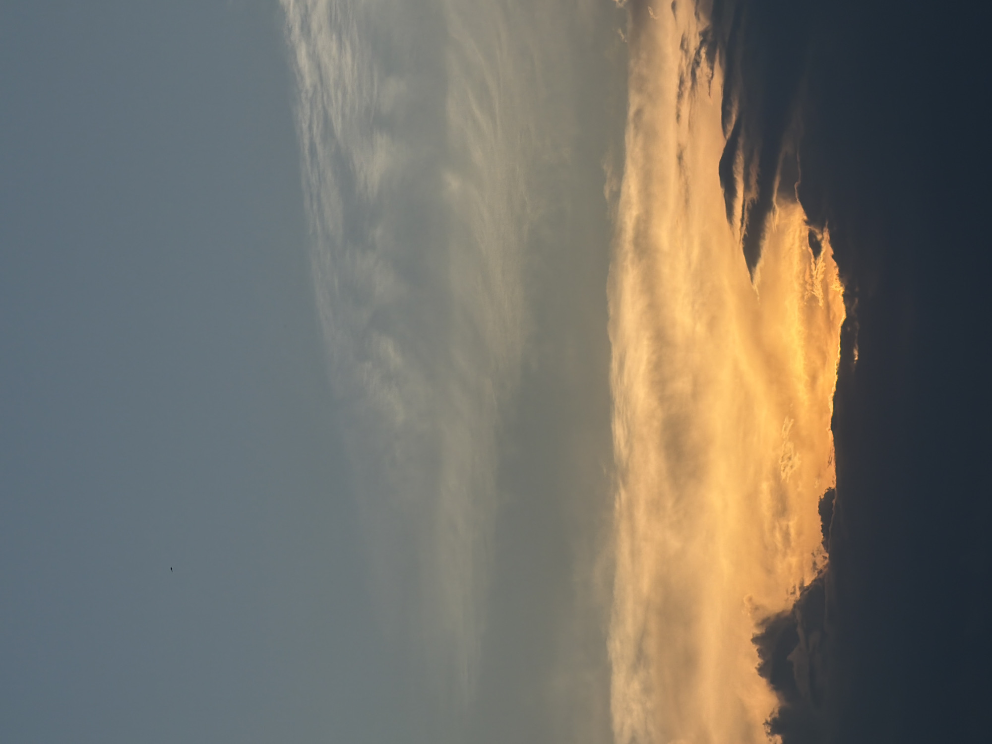 The image shows a sky with a mix of clouds. The left side of the image is a clear, light blue, transitioning to a band of wispy, greyish-white clouds in the center. The right side features golden-yellow clouds, which give way to dark, heavy storm clouds on the extreme right edge. A tiny dark object, possibly a bird, is visible in the clear blue sky on the left. The location is unknown.