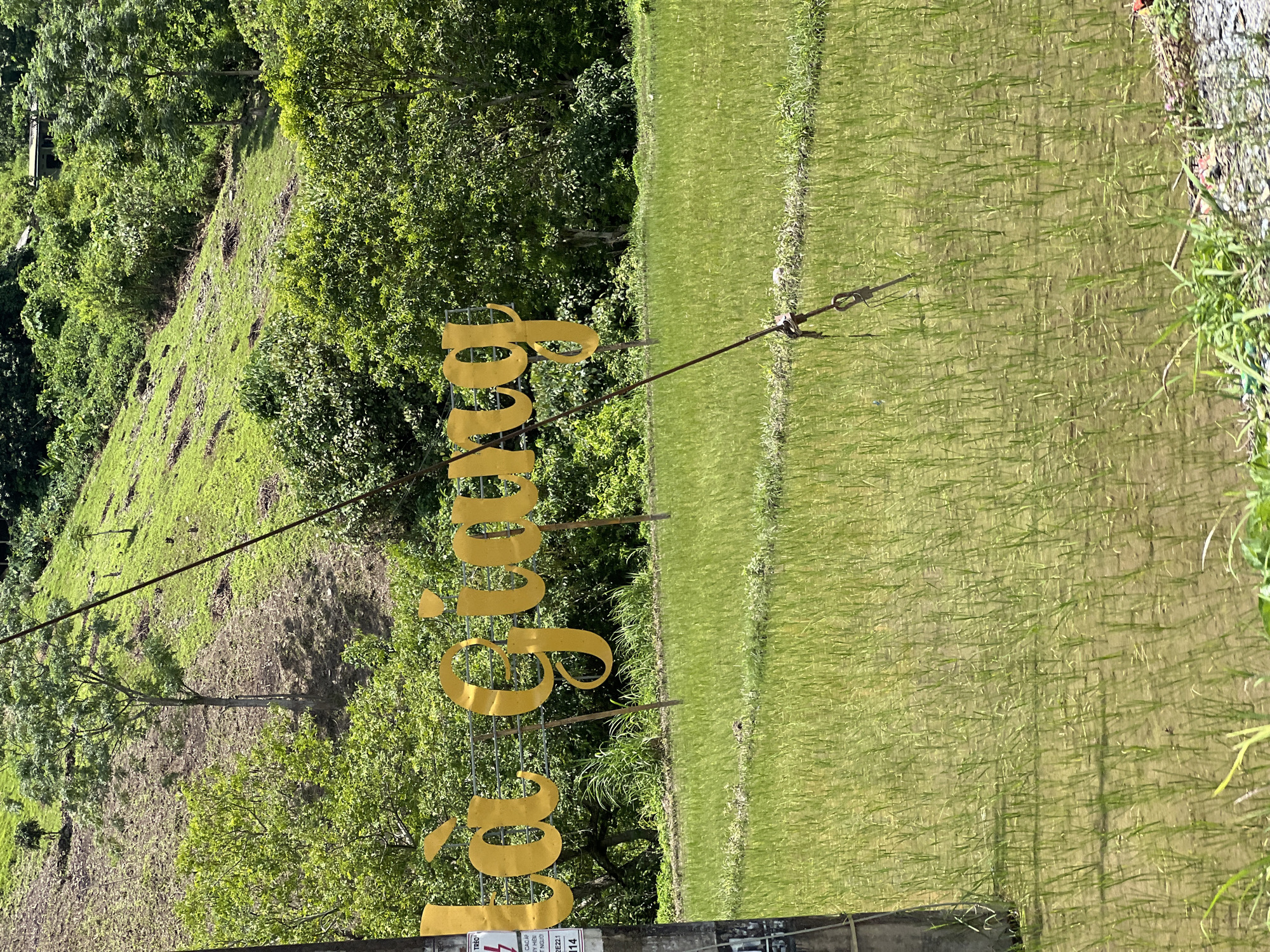The image captures a scenic view of a rural landscape, likely in Thuận Hòa Commune, Vietnam. In the foreground, a flooded rice paddy stretches across the frame, with rows of young green rice plants submerged in shallow water. The water reflects the surrounding greenery and the bright sky. A concrete utility pole stands on the left side of the image, showing some peeling labels and a lightning bolt symbol.
Dominating the middle ground is a large, decorative sign made of golden, cursive letters. The sign reads "Là Giang" and is supported by metal poles. Behind the sign, lush green trees and vegetation create a dense backdrop.
The background features a hillside covered in a mix of sparse vegetation and bare soil, suggesting terraced farming or a recently cleared area. Further up the hill, more trees and a small building are visible. The scene is bathed in bright daylight, casting distinct shadows on the hillside and within the rice paddy, indicating a sunny day. The overall impression is one of natural beauty and agricultural activity.