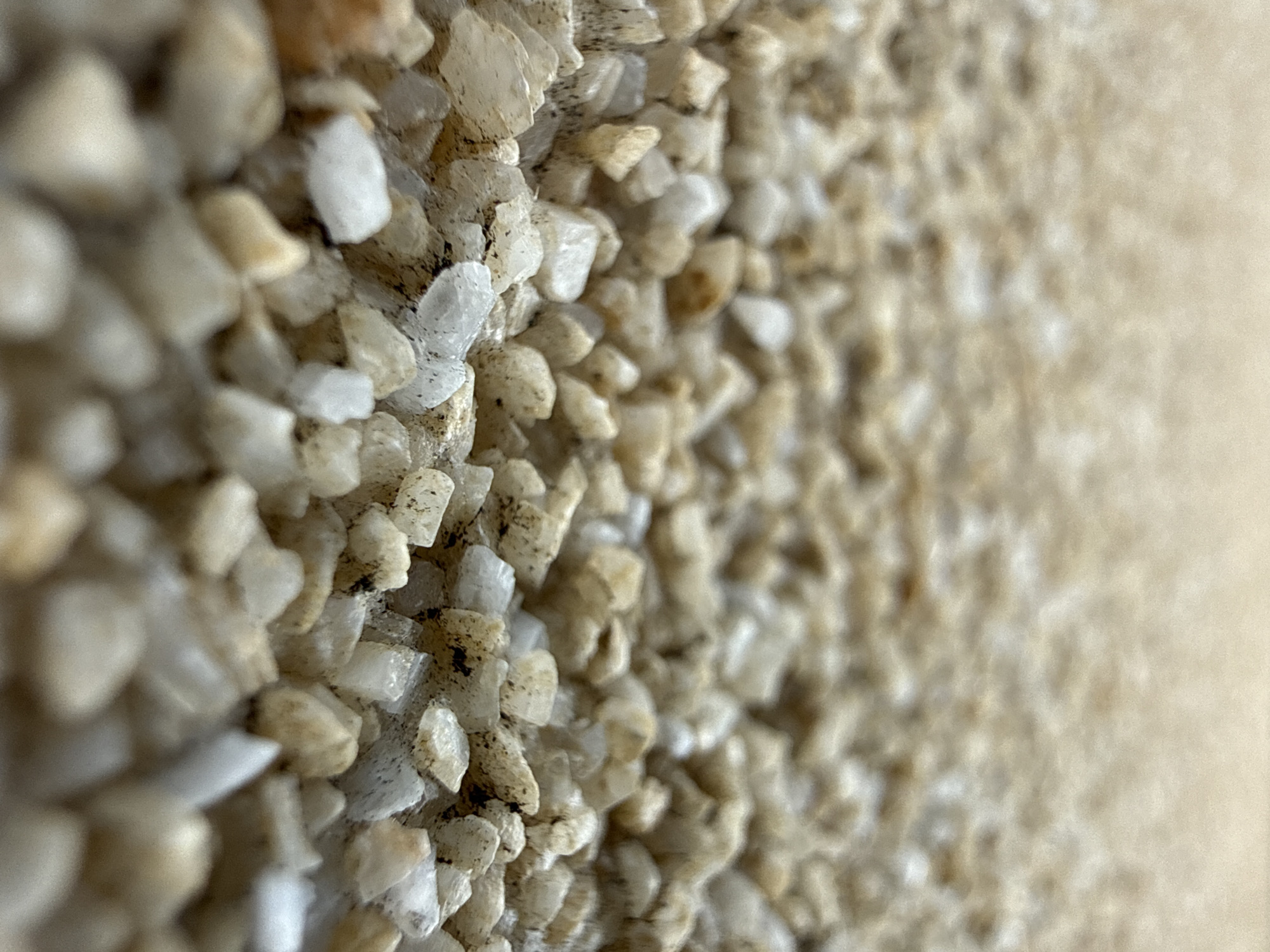 The image displays a macro-level, close-up perspective of a textured surface composed of numerous small, irregular, and angular granular particles. These particles are predominantly light-toned, ranging from off-white and cream to light beige and translucent grey, with occasional darker flecks or adhered debris. The particles are densely packed and appear to be affixed to an underlying substrate, forming an uneven, rough surface.
The depth of field is shallow, with the sharpest focus on the particles in the left and central portions of the frame. Towards the right side, the granular texture rapidly blurs into an indistinct, lighter beige mass, suggesting a vertical or near-vertical plane receding from the viewer, or a surface where the focus gradually fades. No identifiable larger structures, objects, individuals, or specific environmental features are present within the frame that would allow for geographic identification. The image does not contain any visual or embedded metadata to determine its location in the city of Valky, Ukraine, or any other specific geographical coordinates. No actions or interactions are depicted.
