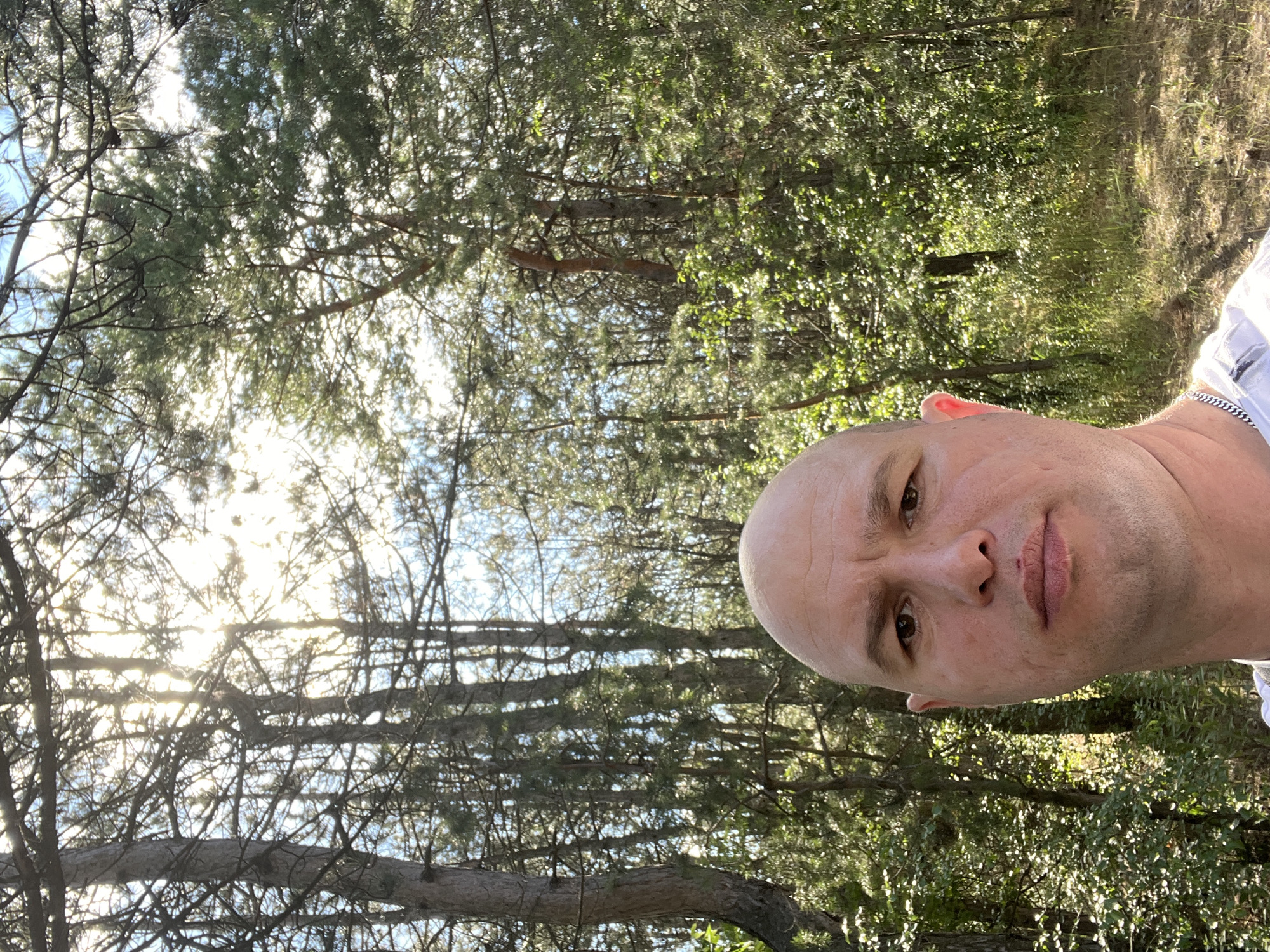This media file is a selfie taken outdoors in a wooded area. The subject is a bald man with fair skin, looking directly at the camera with a neutral expression. He is wearing a light-colored shirt. The background is filled with trees and foliage, with sunlight filtering through the branches, suggesting it is daytime. The scene appears to be a natural setting, possibly a park or forest. The image is oriented vertically, with the man's head positioned towards the right side of the frame, and the trees extending from the top and left. There is no visible text in the image. The location context provided is Shyroke, Ukraine.