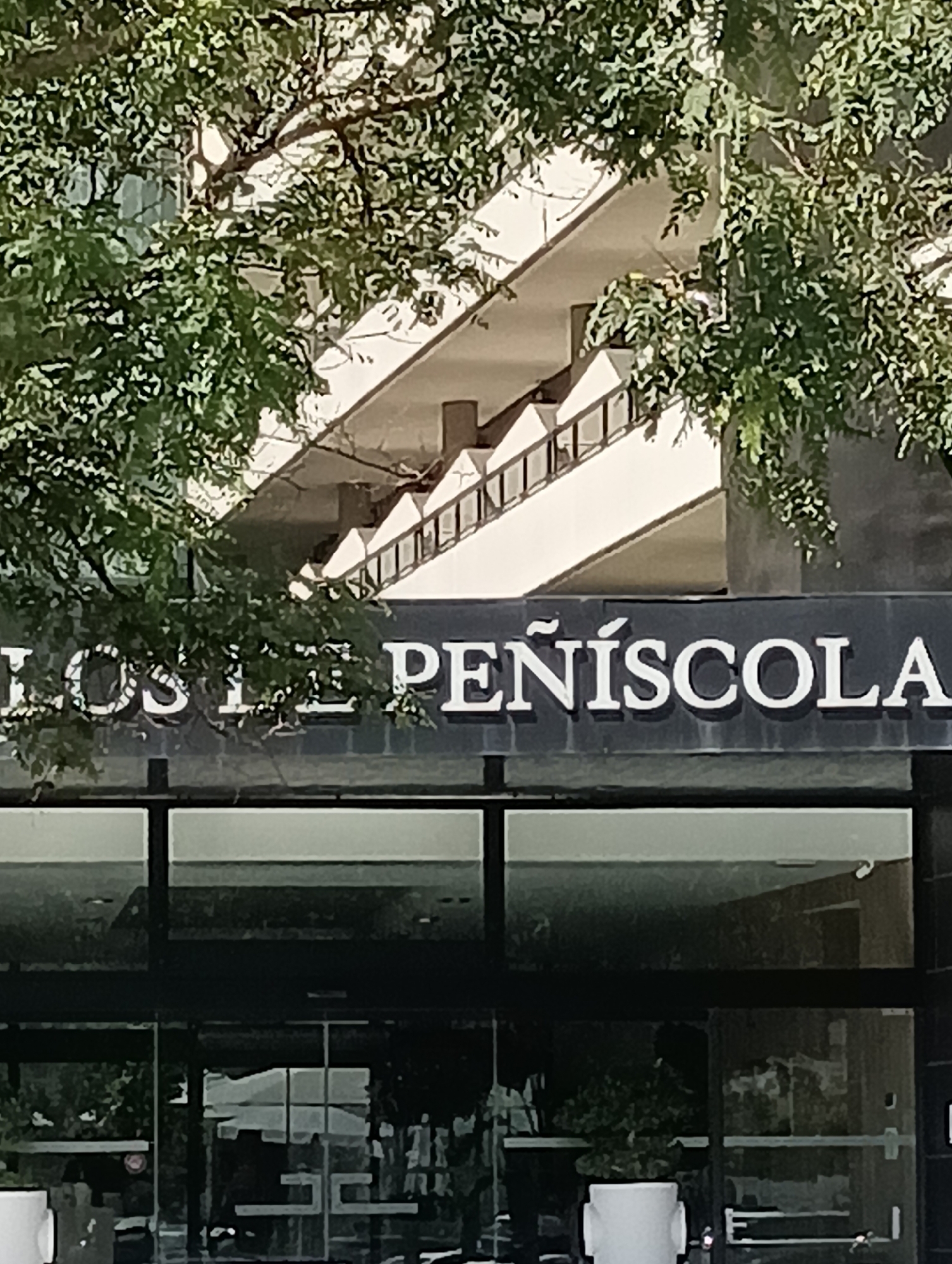 The image shows a close-up view of the exterior of a building, with a sign above the entrance reading "LOS TE PENÍSCOLA". The sign is in white, three-dimensional lettering against a dark background. Above the sign, a modern architectural design with stairs and a railing is visible, partially obscured by lush green foliage from a tree in the foreground. The lower part of the image shows large glass windows, reflecting the surroundings and revealing glimpses of the interior, including what appear to be people and potted plants. The overall impression is of a bright, sunny day in an urban setting, possibly a hotel or commercial establishment in Peníscola, Spain.