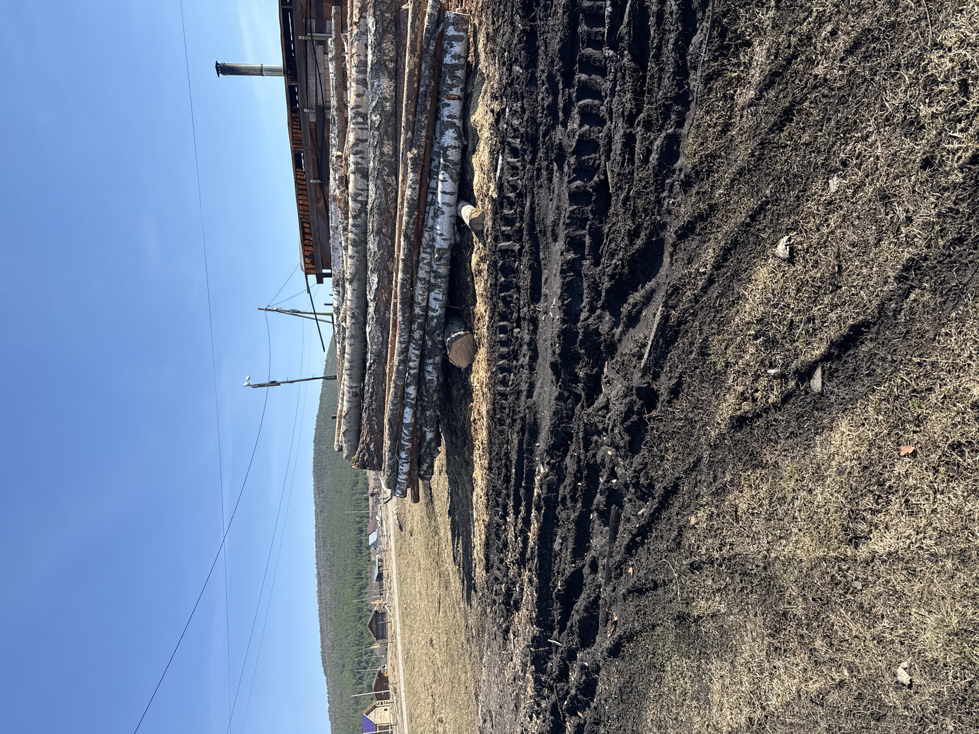 The scene depicts a stack of birch logs near Tyulyuk, Russia, lying alongside tire tracks in the mud. Behind the logs, there's a building with a chimney. Further back, a field transitions into a forested hill. The sky is clear and blue. Power lines are visible in the sky. Small structures can be seen between the field and the hill.