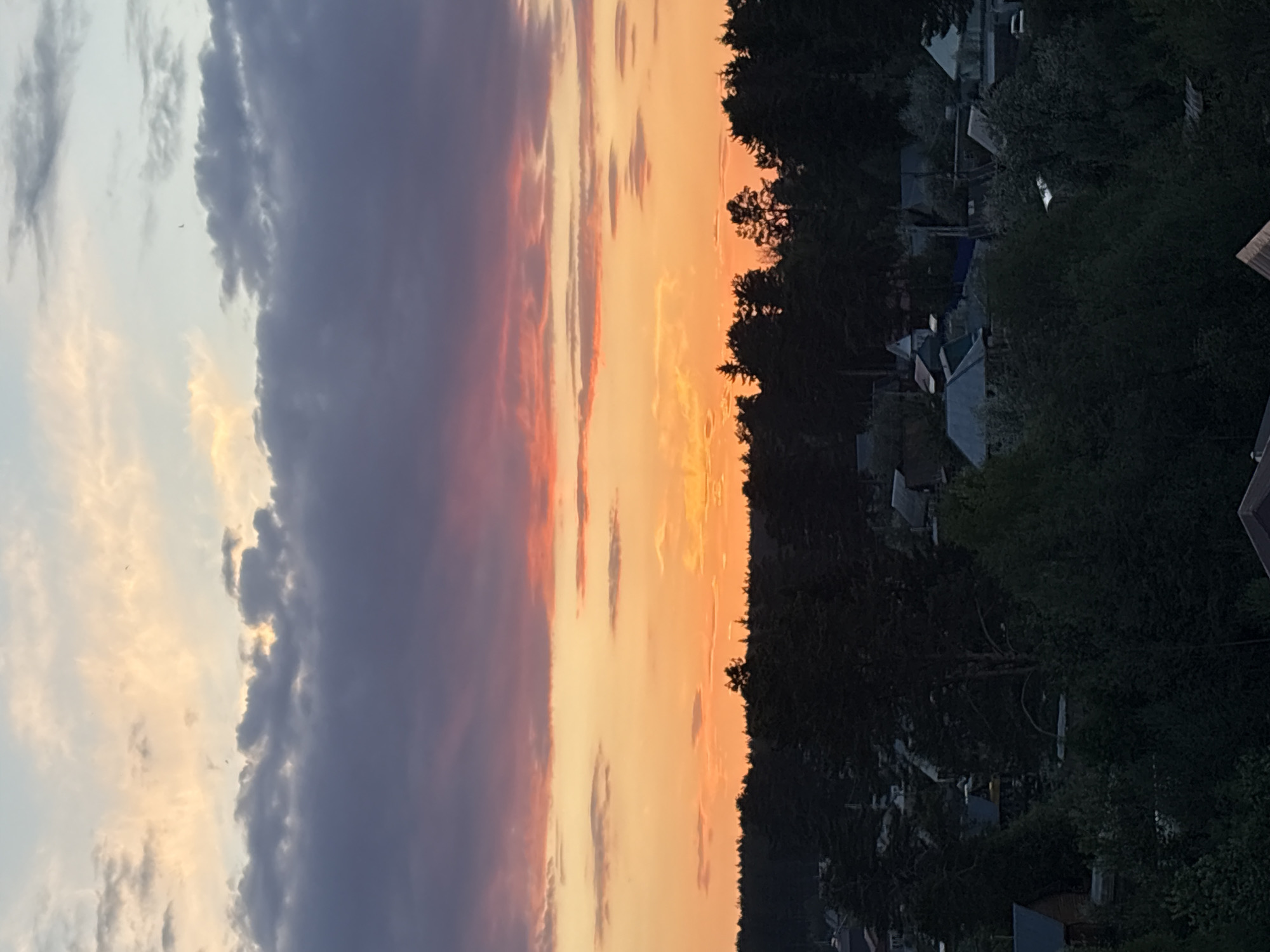 The image captures a sunset over the city of Chaikovsky, Russia. The sky is filled with a mix of colors, ranging from light blue with white clouds on the left to deep purple and orange streaks in the center. A line of dark green trees runs along the right side of the image, with glimpses of houses and rooftops visible within the trees. The overall lighting suggests dusk or early evening.
