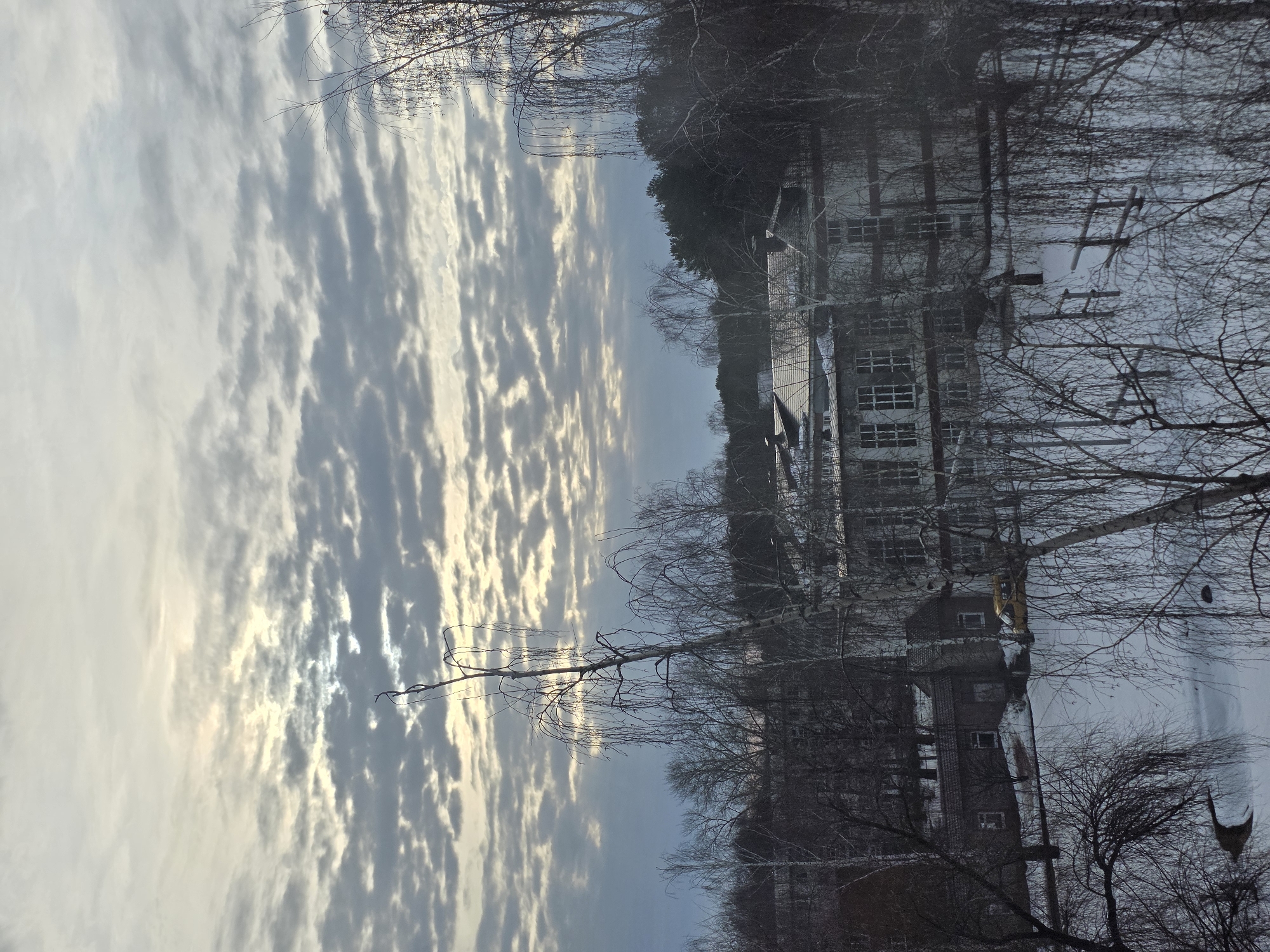 The image captures a winter scene with a striking sky filled with rippled, textured clouds. Sunlight pierces through some areas of the cloud cover.
Below the sky, a structure resembling a large apartment building is visible. The building appears to be constructed of brick and concrete, with multiple windows. Its architecture is functional and austere.
Bare trees are interspersed between the building and the viewer, their branches silhouetted against the sky and the building.
The presence of a building suggests that this is an urban or suburban setting. Without more contextual information, a precise location in Chaikovsky, Russia, cannot be conclusively determined.