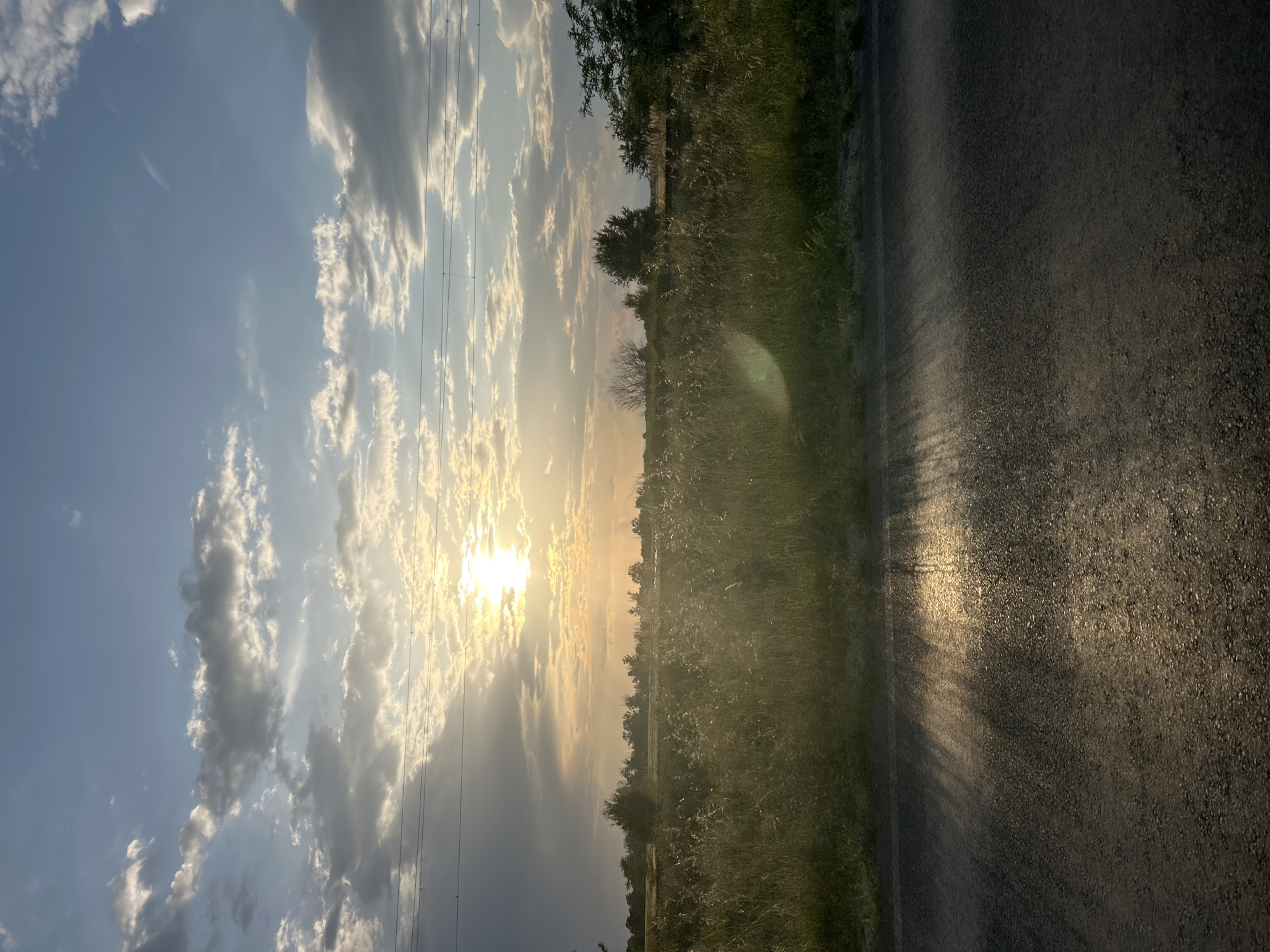 The image presents a rural landscape captured during either sunrise or sunset in Graf Ignatievo, Bulgaria. The sun, a brilliant golden light source, is positioned low in the sky, partially veiled by an array of white and grey cumulus clouds. The sky exhibits a gradient from a lighter, golden hue near the sun and horizon to a clearer blue in the upper portions.
Below the expansive sky, a strip of verdant fields and dense natural vegetation dominates the middle ground. Tall grasses, shrubs, and trees define the landscape, their surfaces catching the warm, low-angle sunlight, which creates a hazy, illuminated effect above the foliage. Power lines stretch horizontally across the upper part of the frame, indicating the presence of utility infrastructure within this natural setting.
To the right, an asphalt road runs through the scene. The intense sunlight striking its surface creates pronounced patterns of bright highlights and deep shadows, emphasizing the texture of the road. The overall atmosphere is one of serene natural beauty, characterized by the dramatic light and cloud formations. There are no people visible, nor any discernable text.