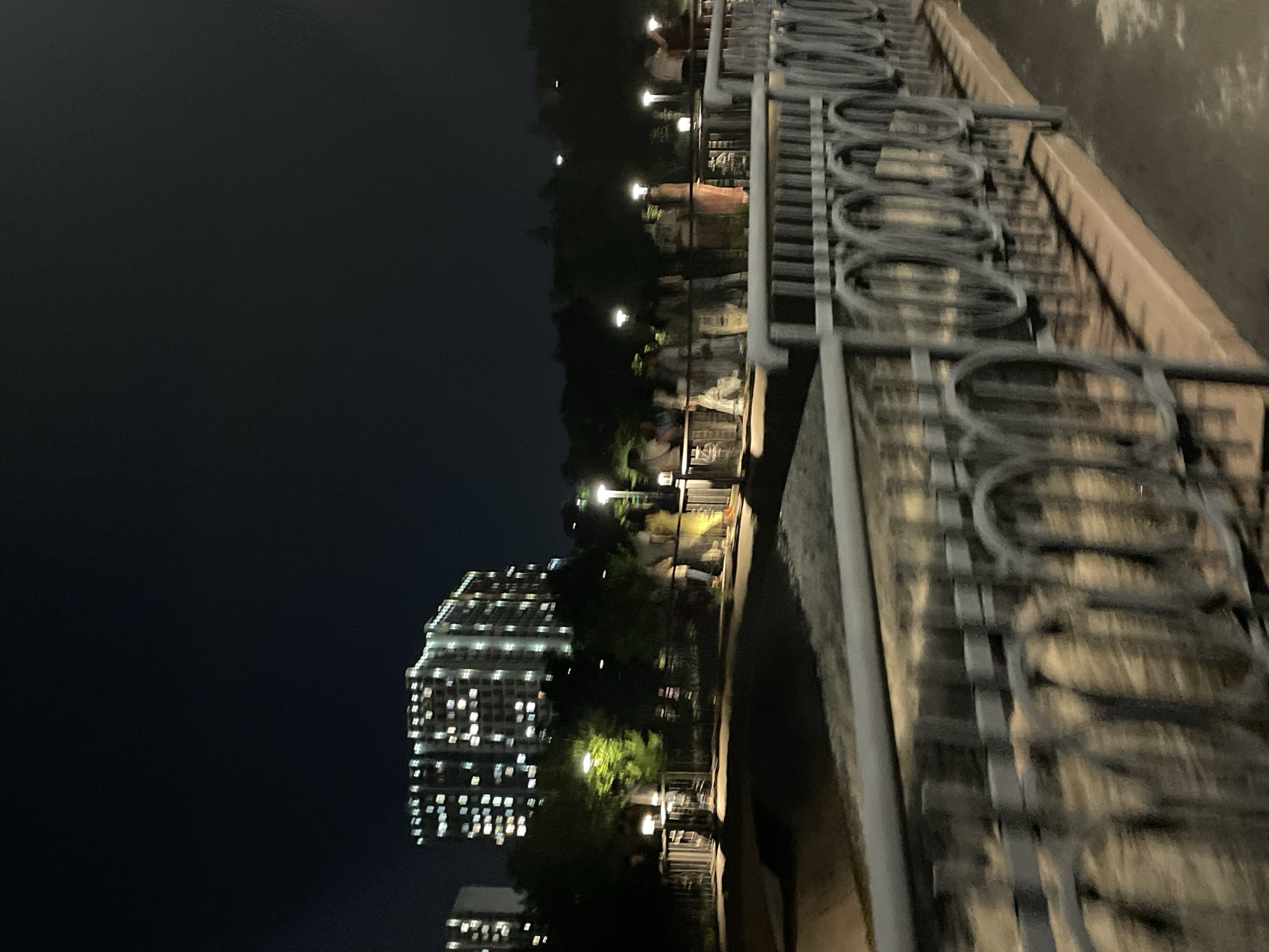 The image depicts a night scene with a blurred perspective, suggesting movement. In the background, a brightly lit, multi-story apartment building with numerous illuminated windows stands against a dark sky. In front of the building, a line of trees is visible, interspersed with streetlights. Along a pathway or promenade in the middle ground, a group of people is standing or walking. They are indistinct due to the blur, but appear to be casually dressed and are clustered together in various formations. A dark metal railing with decorative circular elements runs along the foreground, obscuring part of the scene and also appearing blurred. The ground in the foreground is dark and appears to be a pathway or street. The overall impression is a public space at night, possibly a park or a waterfront area, with residential buildings in the distance.
