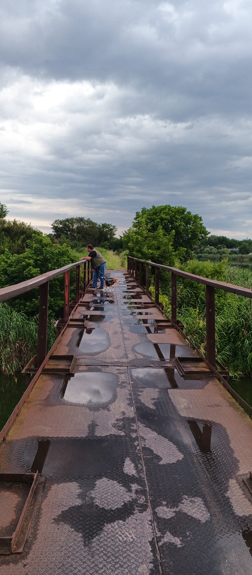 The image shows a person and a dog on a rusty metal bridge over a body of water. The bridge has diamond plate flooring, and there are puddles of water on the surface. The person is wearing a green vest and blue jeans, and is leaning on the railing. The dog, a tri-color beagle mix, is standing next to the person. The surrounding area is lush with green trees and tall grass. The sky is cloudy, with a mix of light and dark gray clouds. The scene appears to be in a rural or semi-rural area, possibly on the outskirts of the city of Smila, Ukraine. The time of day appears to be late afternoon or early evening, given the lighting.