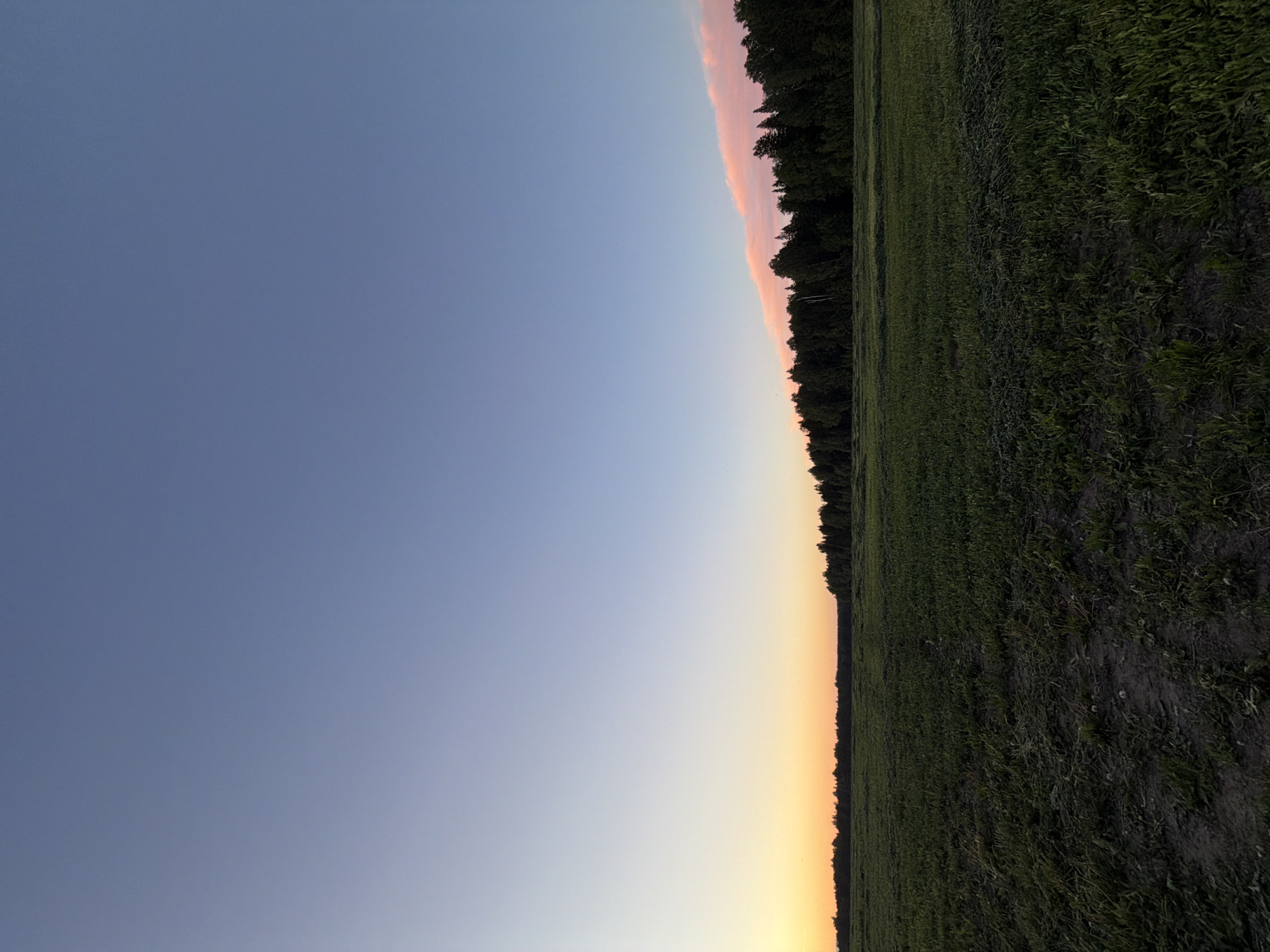 The image presents a striking vertical composition of a natural landscape. A vast expanse of clear sky occupies the left side of the frame, transitioning from a rich twilight blue at the top left to a softer, warm yellow-orange towards the bottom right. A distinct, elongated band of delicate pink clouds runs vertically, separating the sky from a dark treeline that forms a strong vertical element across the middle of the image.
To the right of the treeline lies a lush, green field, extending towards the right edge of the frame. This field appears to be covered with tall grass or young crops, displaying varied textures and shades of green, with some darker soil patches visible amidst the vegetation. The interplay of sky colors, especially the pink clouds against the blue and orange, strongly suggests the time of day is either sunrise or sunset.
No people, animals, man-made structures, or specific activities are depicted. The scene evokes a tranquil ambiance during twilight hours. This landscape is situated in Kechur, Russia. No text is visible in the image.