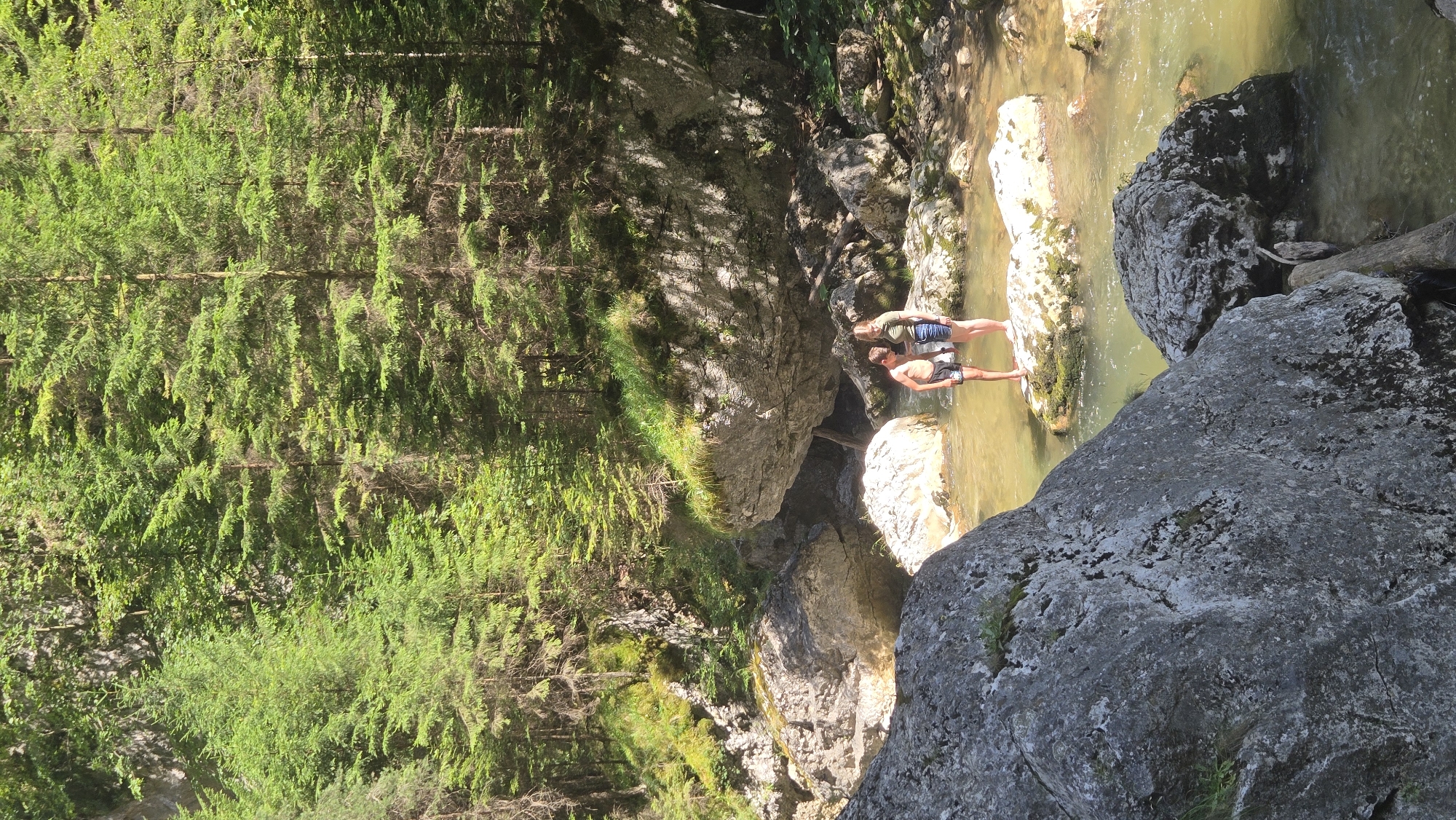 Two young individuals, a boy and a girl, stand on rocks in a shallow, clear stream. The boy, wearing dark shorts, is to the left, and the girl, in denim shorts and a green t-shirt, is to the right. They are surrounded by large, grey boulders and a lush, green forest. The forest canopy is dense, with tall evergreen trees casting dappled sunlight onto the scene. The water is shallow enough that the rocks on the streambed are visible. The image captures a moment in a natural outdoor environment, likely a gorge or canyon, in Bicaz-Chei, Romania.