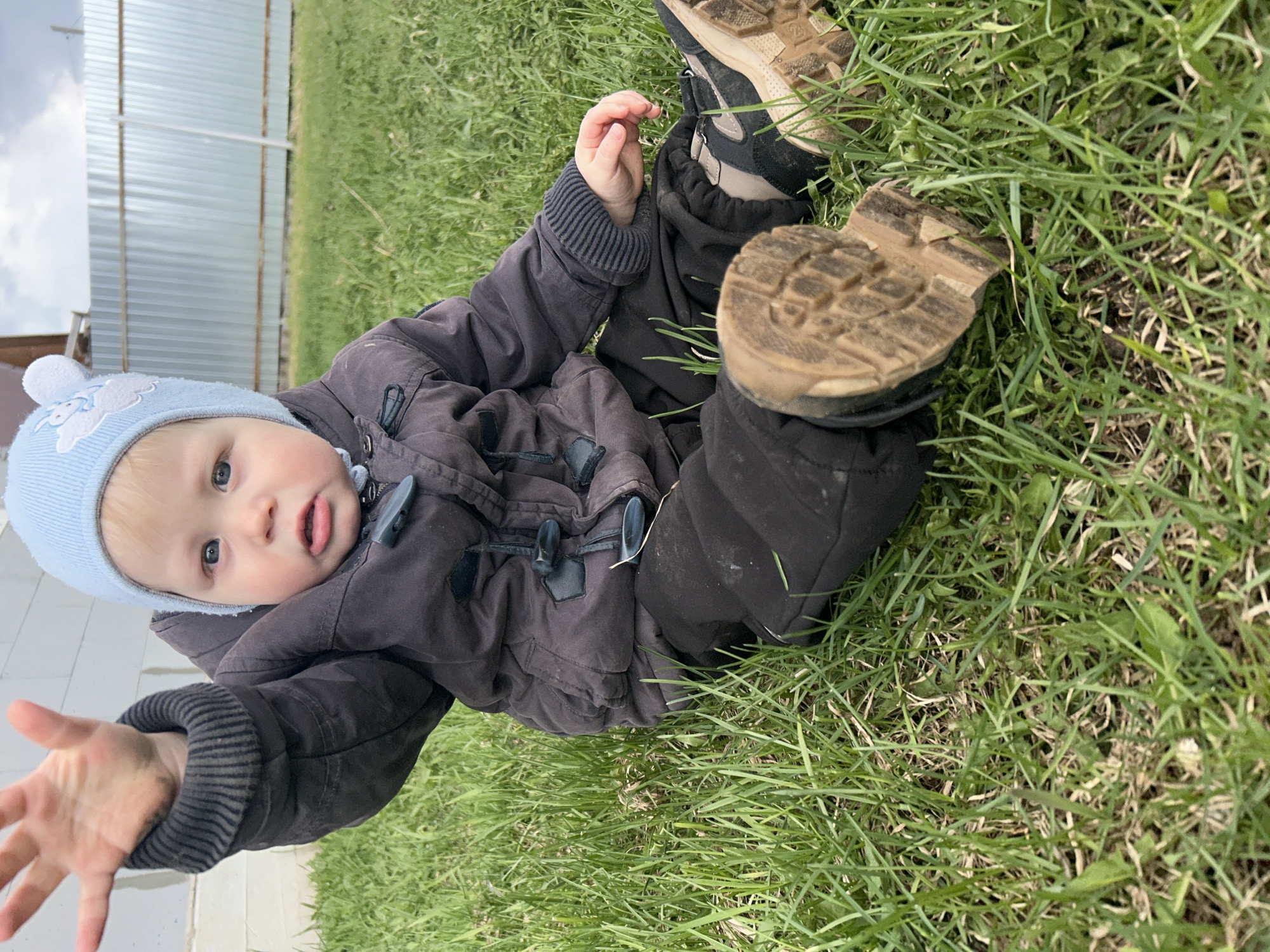 A young child, likely a toddler, is captured sitting or lying on green grass outdoors. The child is dressed warmly in a light blue knitted hat with white pompoms and blue embroidery, a dark padded winter jacket featuring toggle buttons, dark pants, and sturdy, mud-covered boots. The photograph is oriented to show the child tilted to the side, looking directly at the camera with wide, curious eyes and a slightly open mouth, revealing the tip of their tongue. One hand is outstretched towards the viewer. In the background, there is a light-colored corrugated metal fence under a cloudy, overcast sky. The grass beneath the child is green but somewhat sparse in places. The muddy state of the boots indicates recent outdoor play. The warm clothing suggests cool weather, possibly early spring or late autumn in Chaikovsky, Russia. There is no visible text in the image.