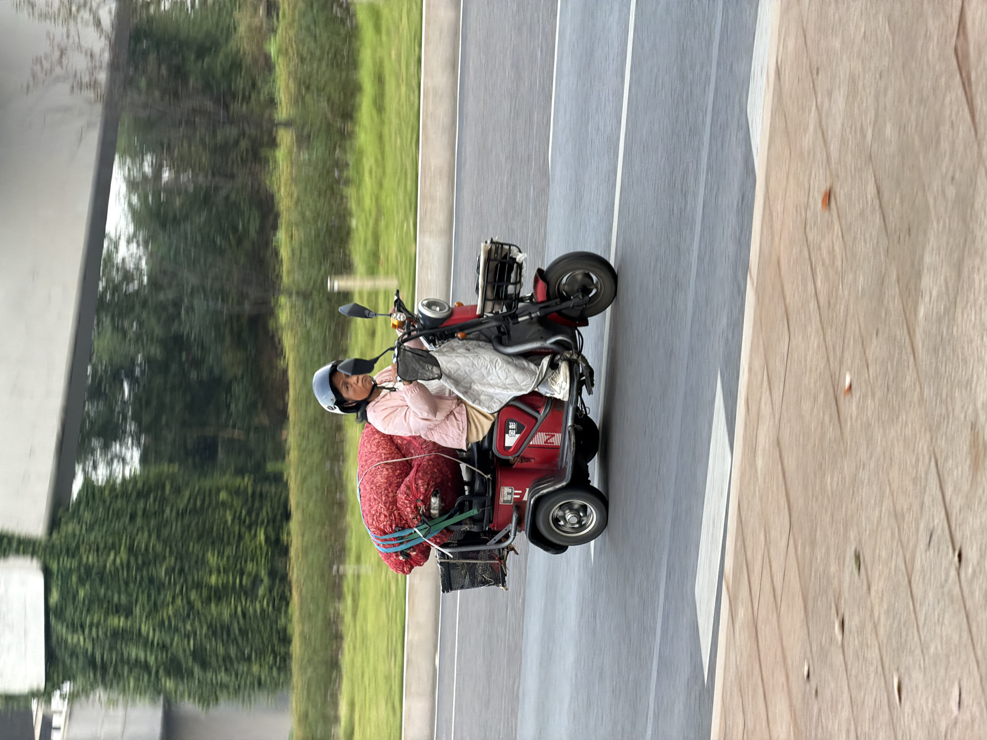 A woman wearing a blue helmet and a pink jacket rides a red three-wheeled scooter loaded with a large, red, sack-like object. The scooter has a basket on the back. The woman is looking forward, seemingly focused on driving. The scooter is on a paved road, with a grassy area and trees in the background. A raised walkway with a white line is visible to the left of the road. The scooter has Chinese characters on its side. The scene appears to be in a city environment, possibly in Jiangjin, China.