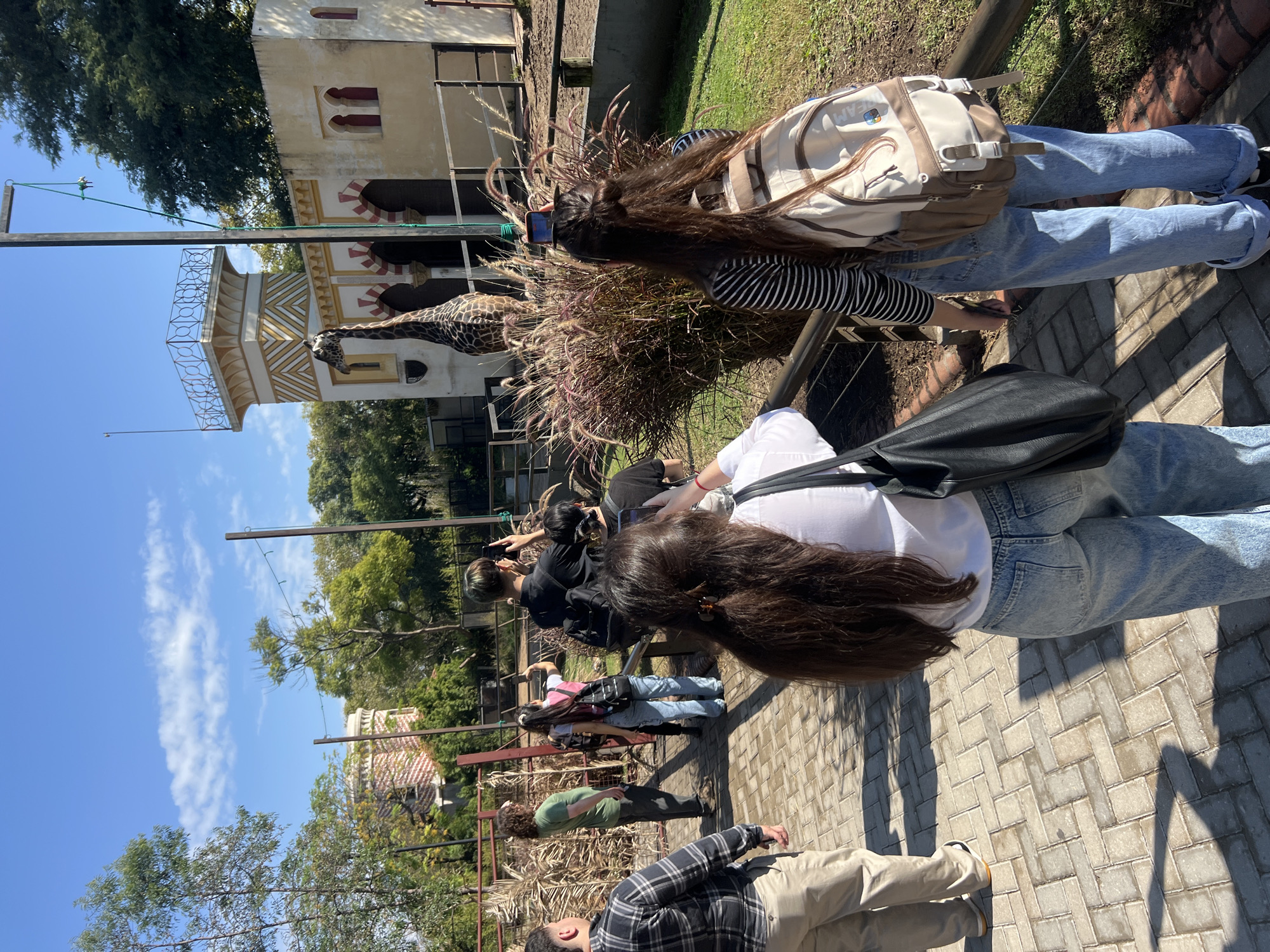 A group of people are standing on a brick path, looking at giraffes in an enclosure with an ornate building in the background. The location is likely the Buenos Aires Zoo. Some people are taking photos with their phones. A mix of grass and other vegetation is visible. The weather appears to be sunny.