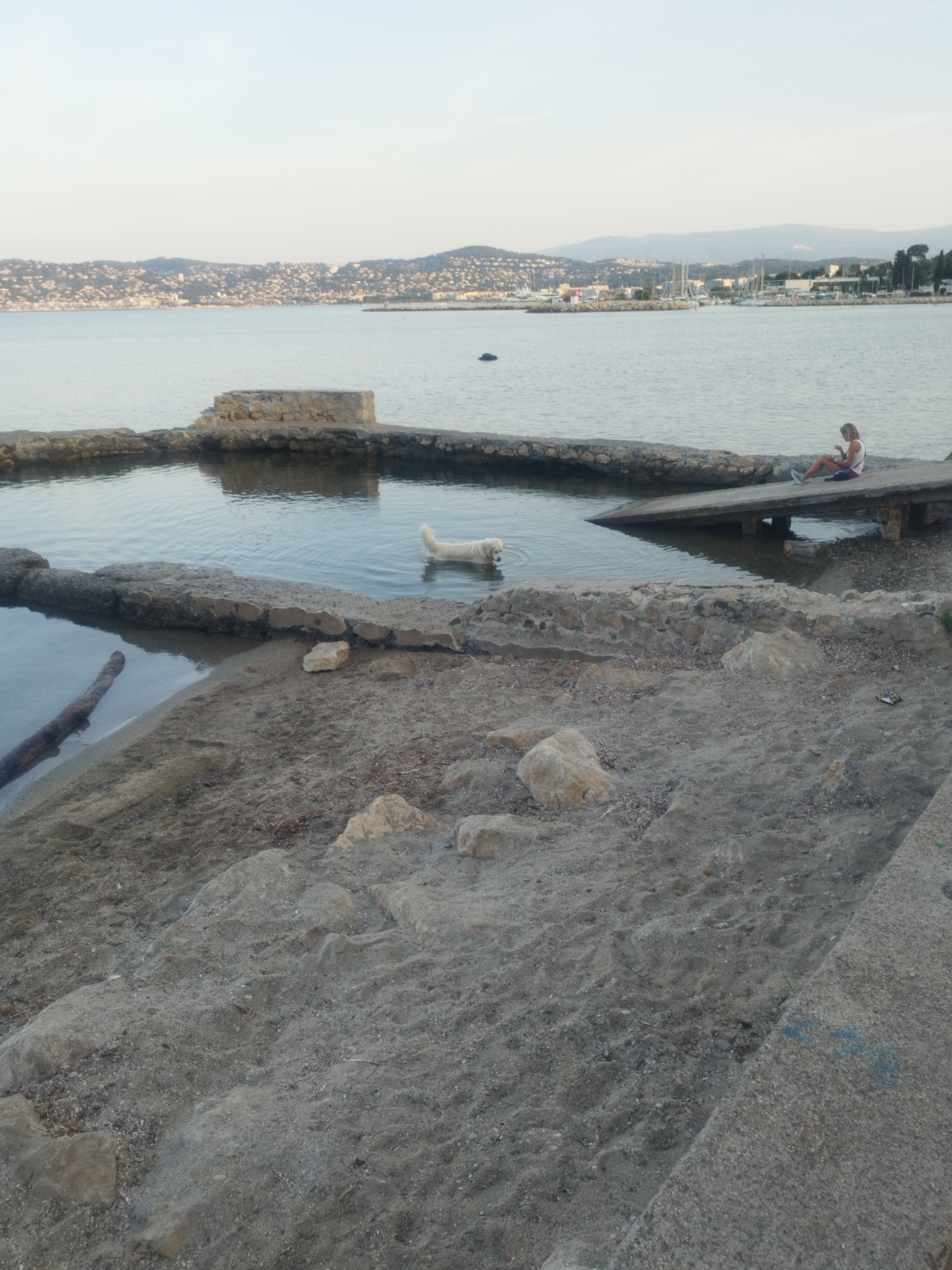 A medium shot captures a serene waterfront scene, likely in Antibes, France, as indicated by the distant, hilly coastline dotted with buildings and a harbor filled with sailboats. In the foreground, a dog, appearing to be a golden retriever, stands in shallow, calm water within a man-made stone enclosure. To the right, a woman with blonde hair, wearing a white top and dark shorts, sits on a concrete structure that extends into the water. She is looking down, possibly at a phone or other object in her hands. The enclosure is partially filled with water, reflecting the sky and surrounding environment. The shore is composed of sand and rocks, with a large piece of driftwood visible on the left side of the frame. The overall atmosphere is peaceful and tranquil, with the setting sun casting a soft light.