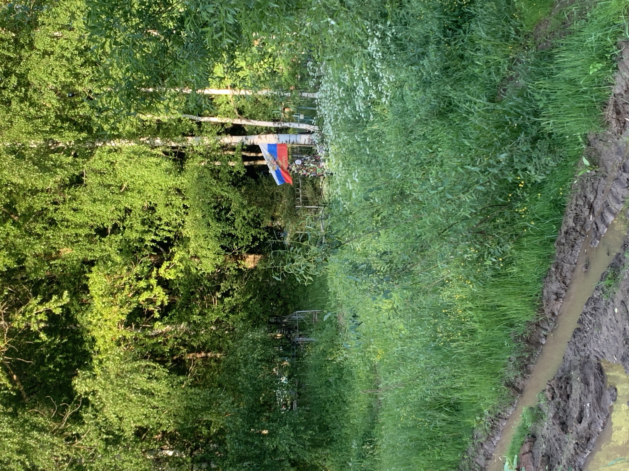 This image depicts a roadside view in the city of Svyatitsa, Russia. A muddy rut runs diagonally across the bottom left of the frame, indicating a dirt road or track. The surrounding environment is overgrown with tall, lush green grass and various wildflowers, creating a wild and natural setting. In the middle ground, a small cluster of birch trees stands amidst the vegetation. A Russian flag is prominently displayed on a pole, its red, white, and blue colors contrasting with the greenery. Behind the flag, faint outlines of what appear to be gravestones or markers suggest a cemetery or memorial site. The overall impression is one of a rural or semi-rural area, likely a cemetery on the outskirts of Svyatitsa, Russia, given its natural and somewhat unkempt appearance.