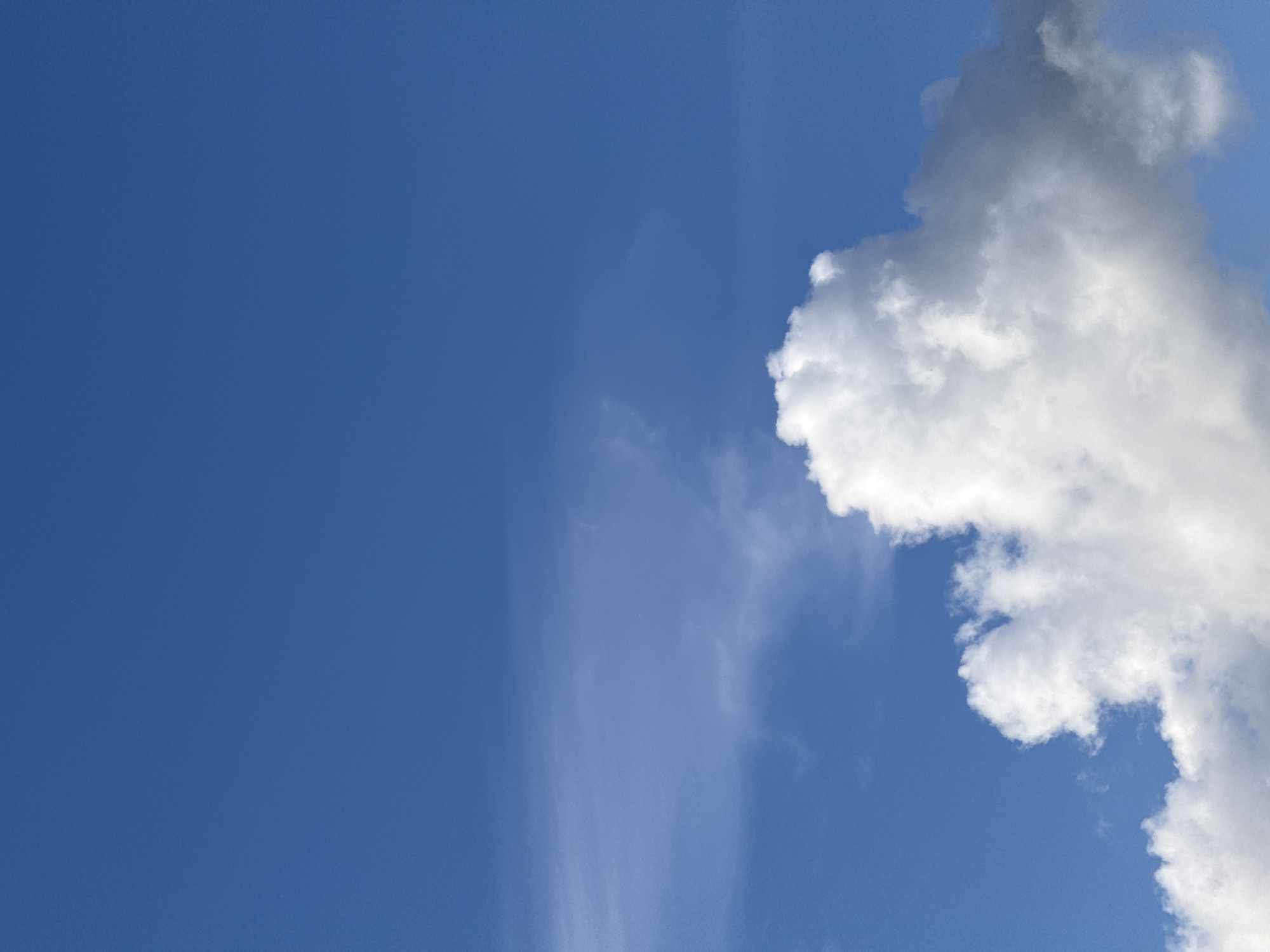 A vast, clear blue sky dominates the upper portion of the image. In the lower half, a large, fluffy white cumulus cloud is prominent, casting shadows and displaying variations in texture and light. Fainter, wispy clouds are visible in the background, adding depth to the scene. The image appears to be a photograph taken outdoors, likely during daylight hours, with no human presence or man-made structures discernible. The environment is natural, focusing on the atmospheric elements of the sky and clouds. There is no information available to determine the specific location within Sof'ino, Russia, or the time of day.