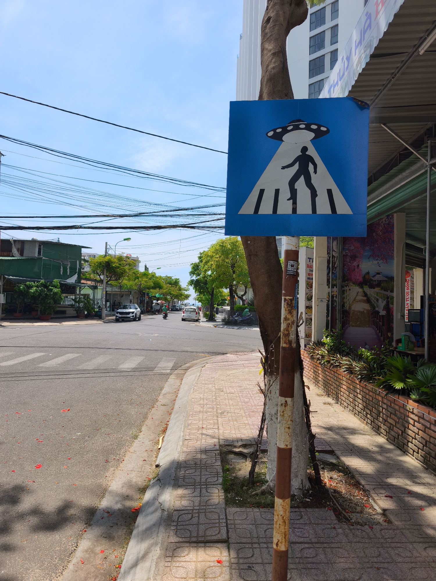 The image shows a street scene in Bac Nha Trang Ward, Vietnam. A unique pedestrian crossing sign featuring a silhouette of a person being abducted by a UFO is prominently displayed on a pole. The sign is a blue square with a white triangle inside, depicting the UFO and the person. The street itself is paved, with a sidewalk on the right side of the image. Several power lines are strung across the sky. Cars and a motorcycle are visible on the road, suggesting it is an active urban area. Buildings line the street, some with signs and awnings. The overall environment appears to be a sunny day with some scattered foliage and fallen red petals on the ground.