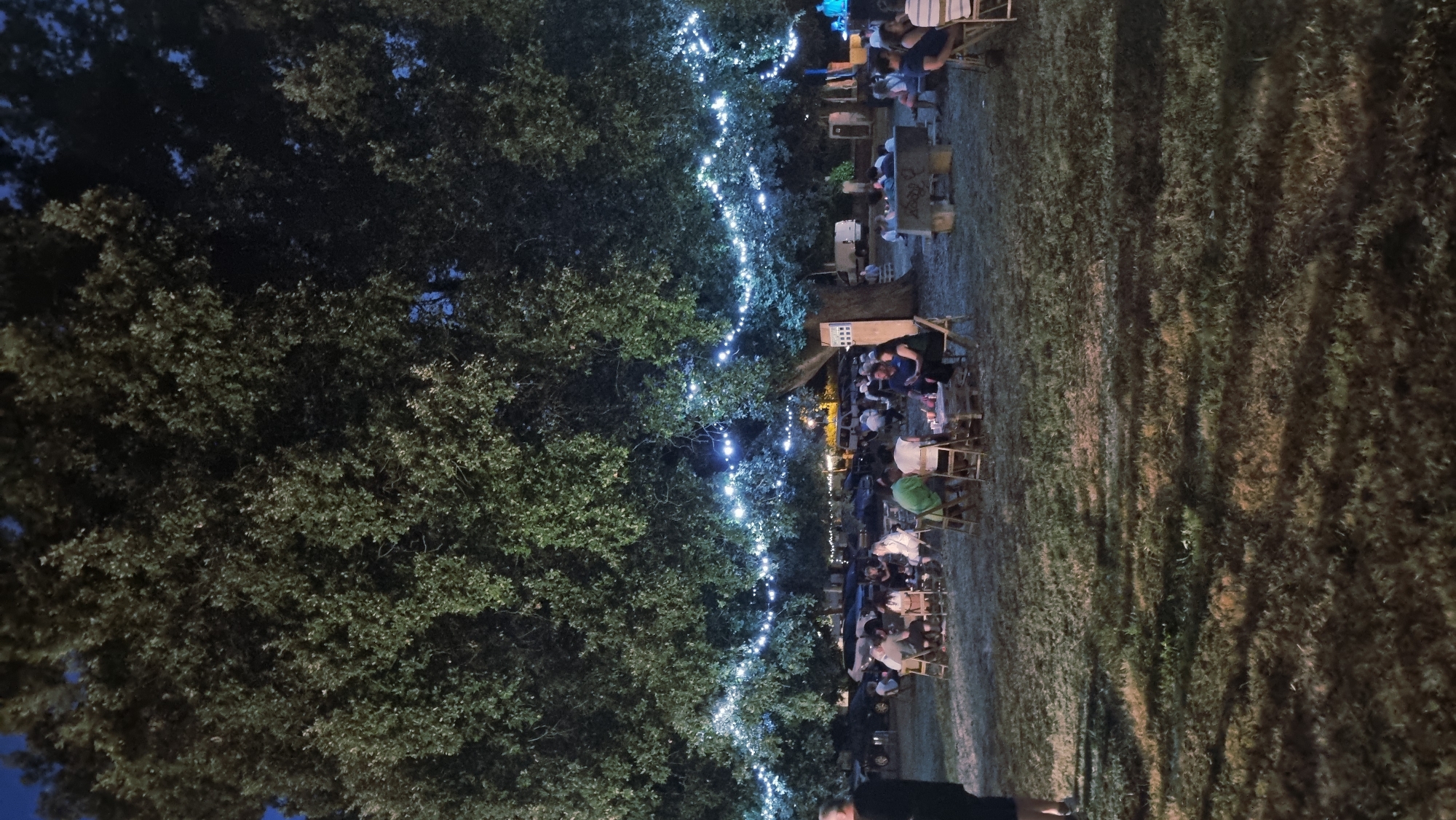 The image depicts an outdoor gathering at night in Sant Joan Les Fonts, Spain, likely a park or open field, illuminated by string lights draped across a large tree. Several groups of people are seated at tables, engaged in conversation or relaxation. The environment is characterized by lush green grass and the canopy of the tree overhead. In the background, vehicles are parked, suggesting this is a public area accessible by car. The overall atmosphere appears casual and social.